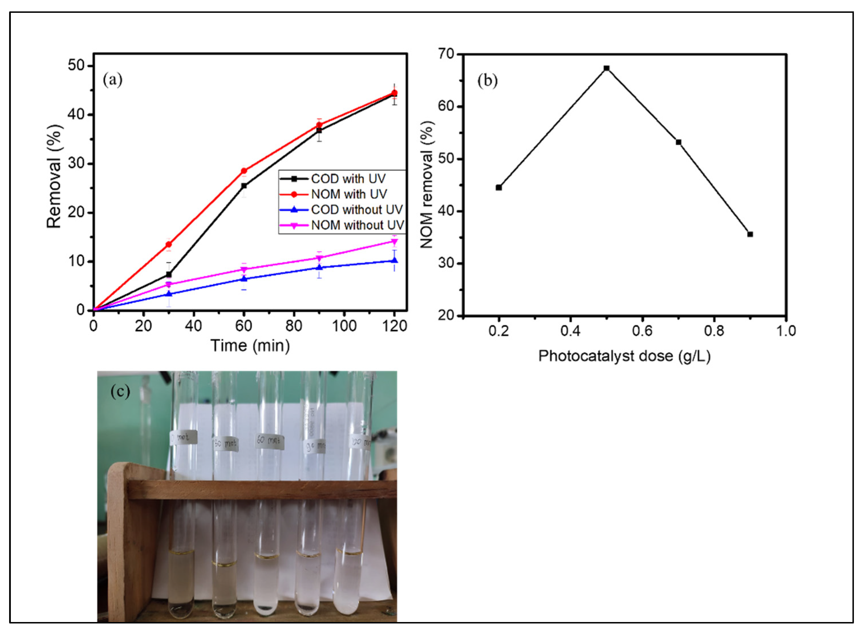 Nanomaterials 12 01650 g011