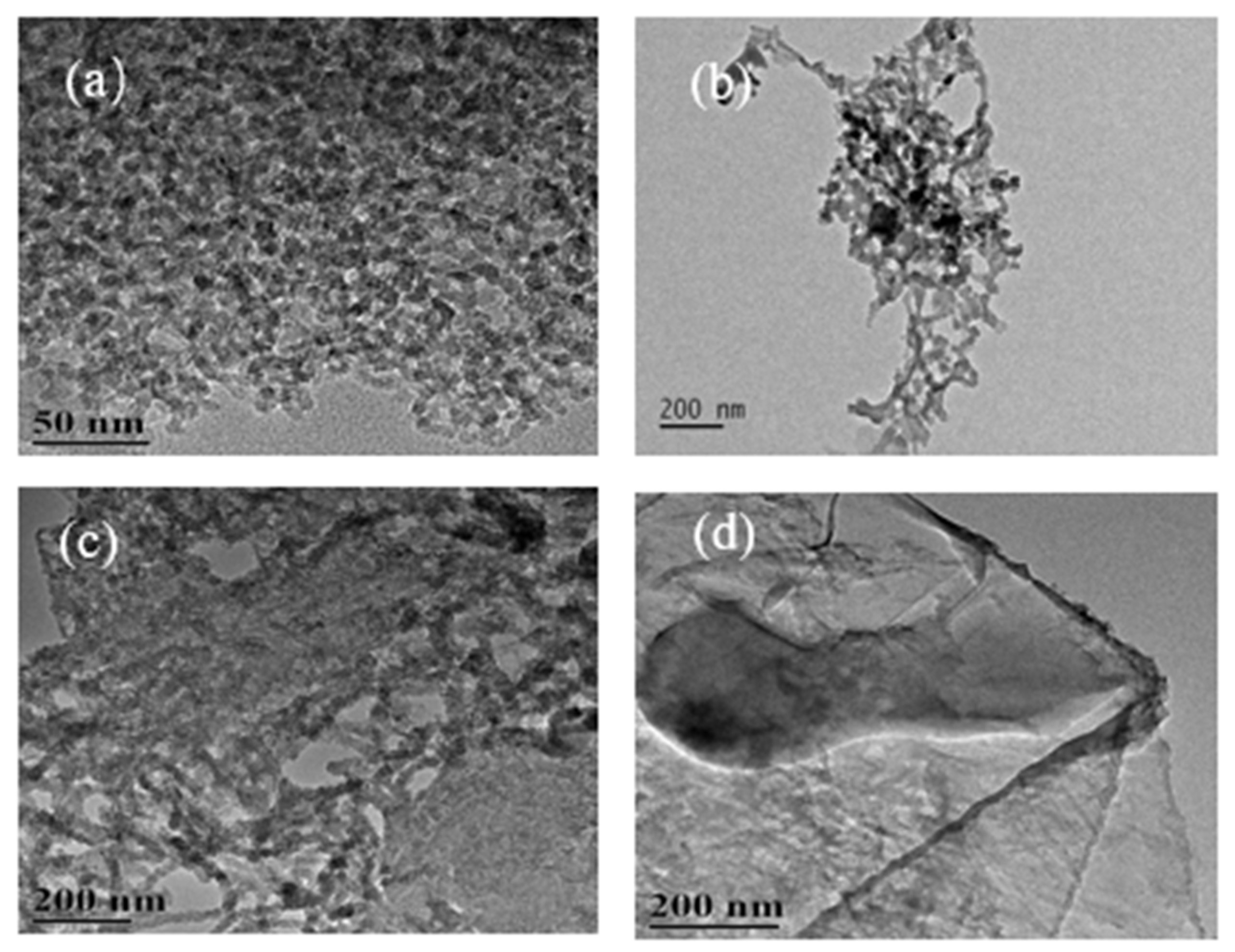 Nanomaterials 12 01652 g003 550