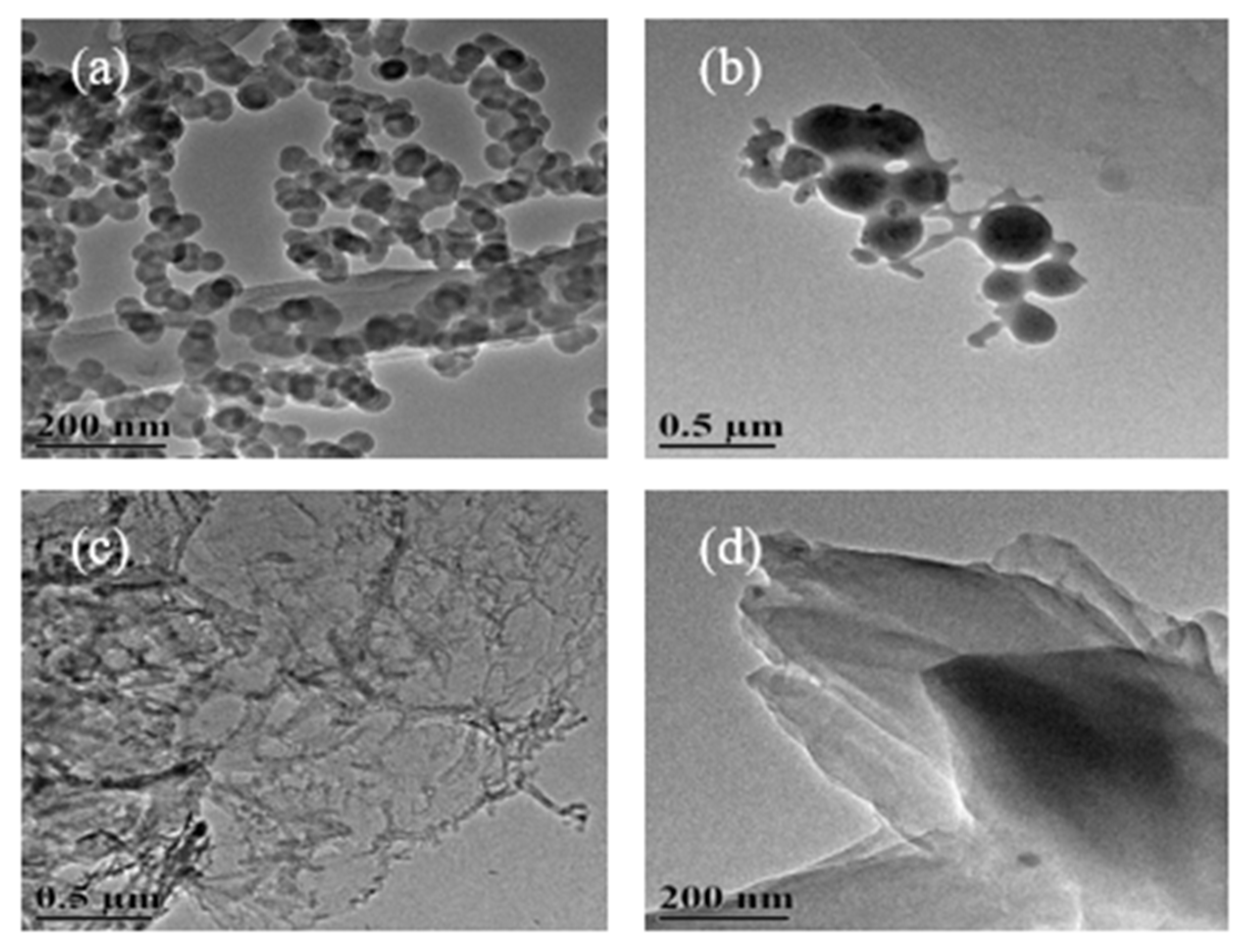 Nanomaterials 12 01652 g005 550