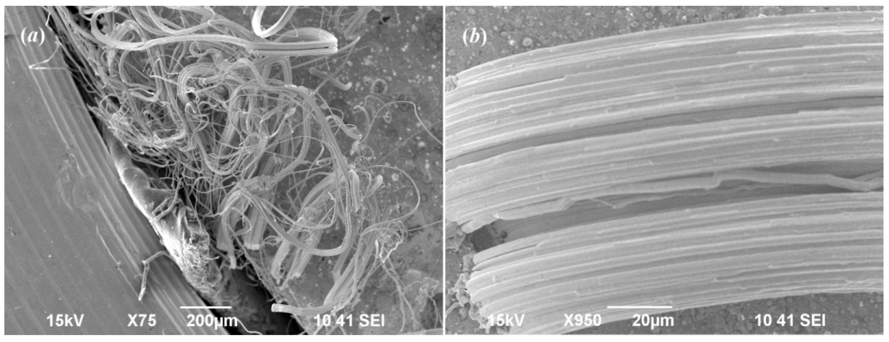 Nanomaterials 12 01668 g009