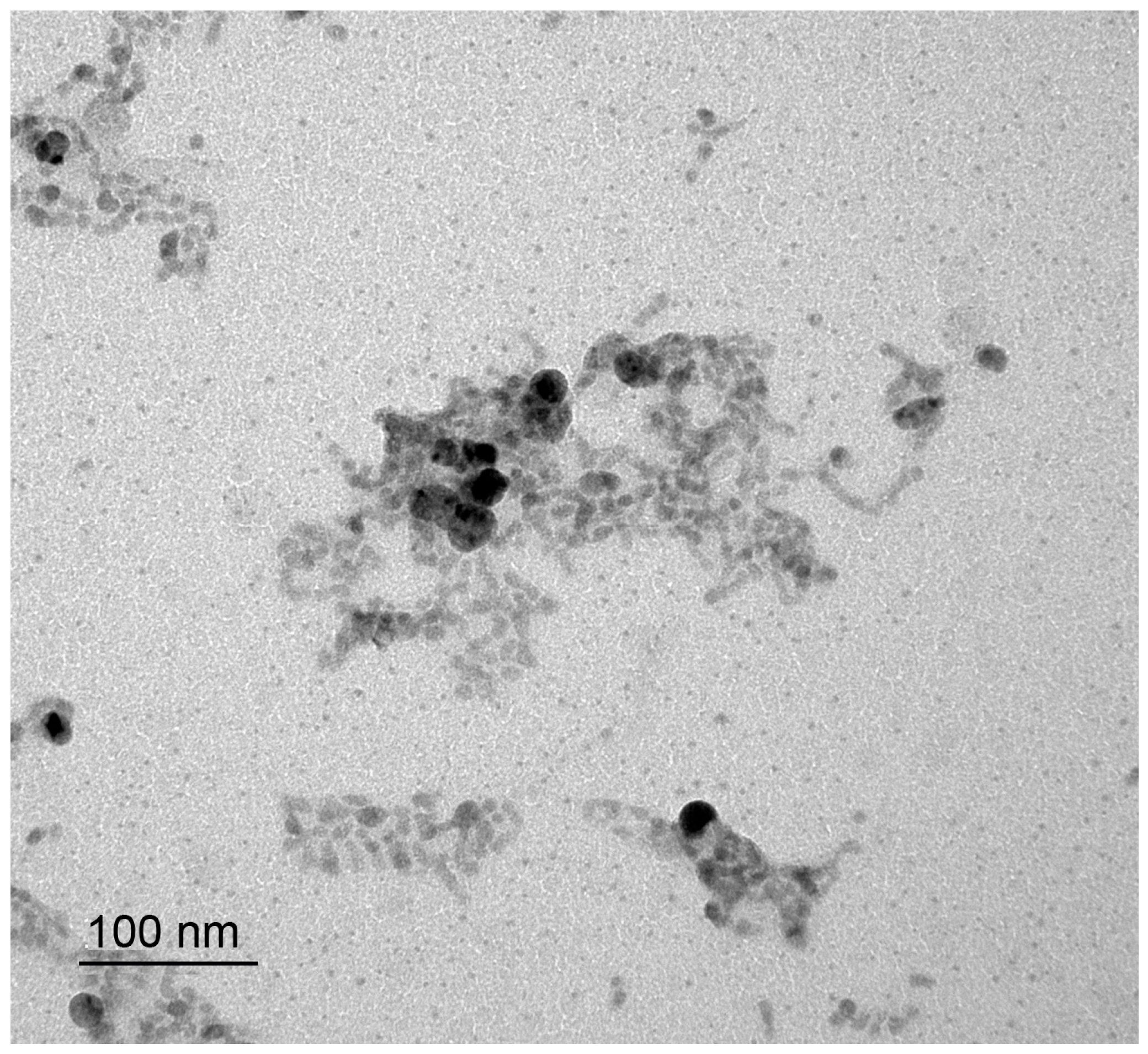 Nanomaterials 12 01668 g013