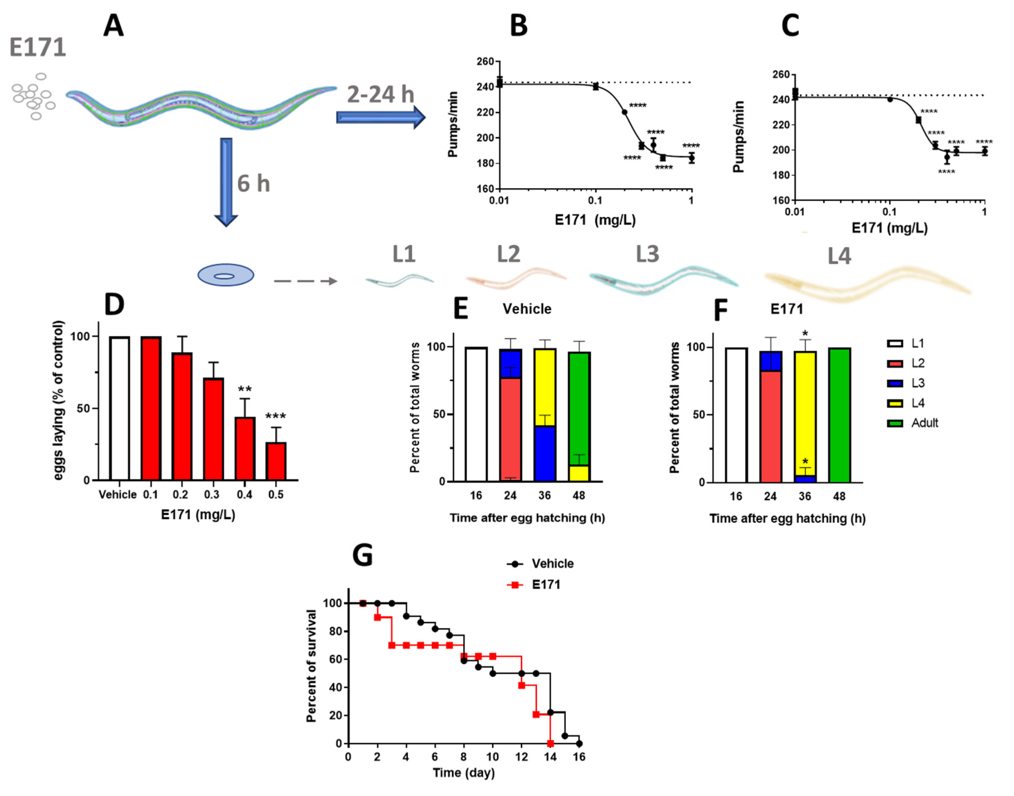 Nanomaterials 12 01669 g001 550