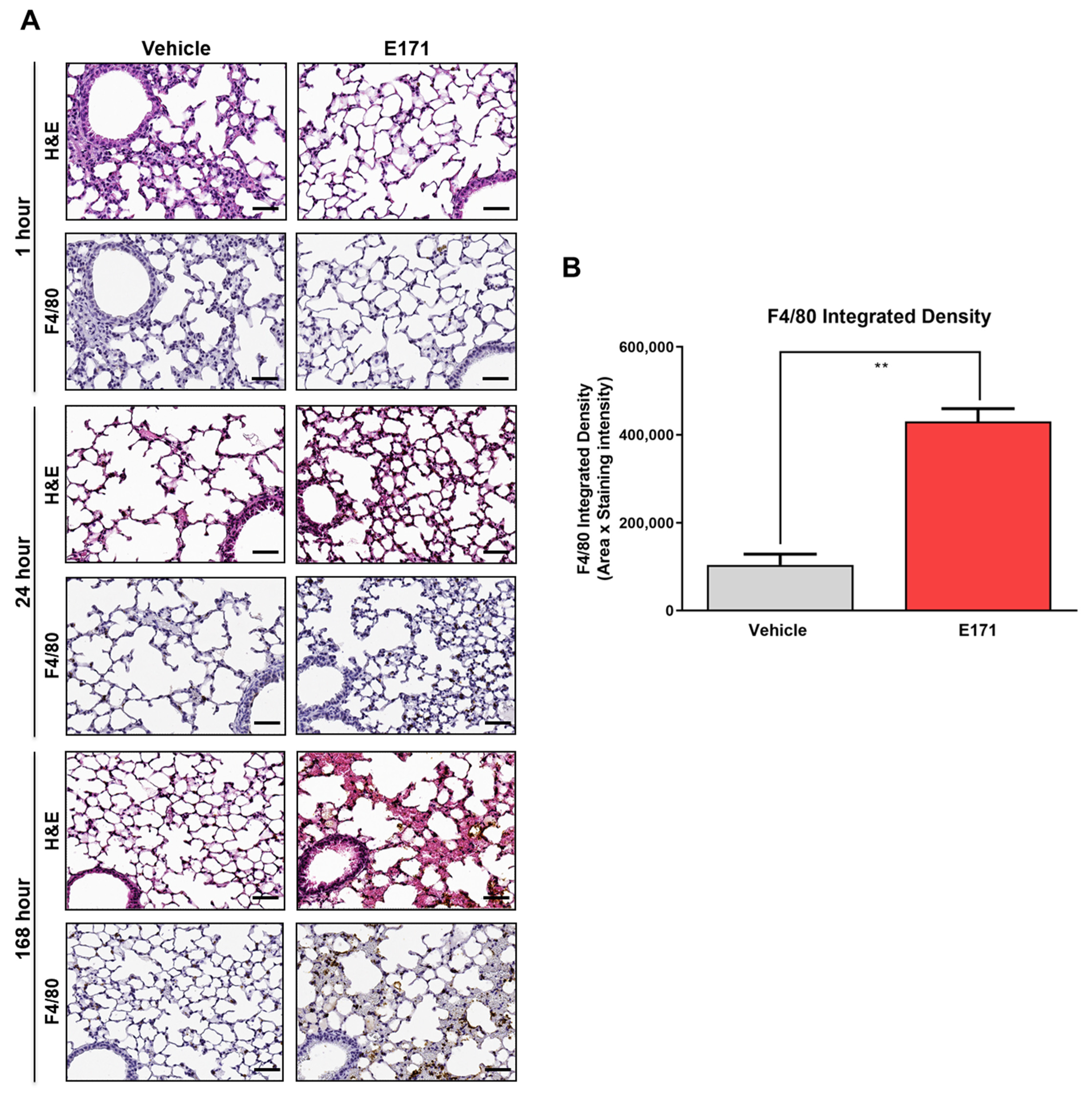 Nanomaterials 12 01669 g007 550