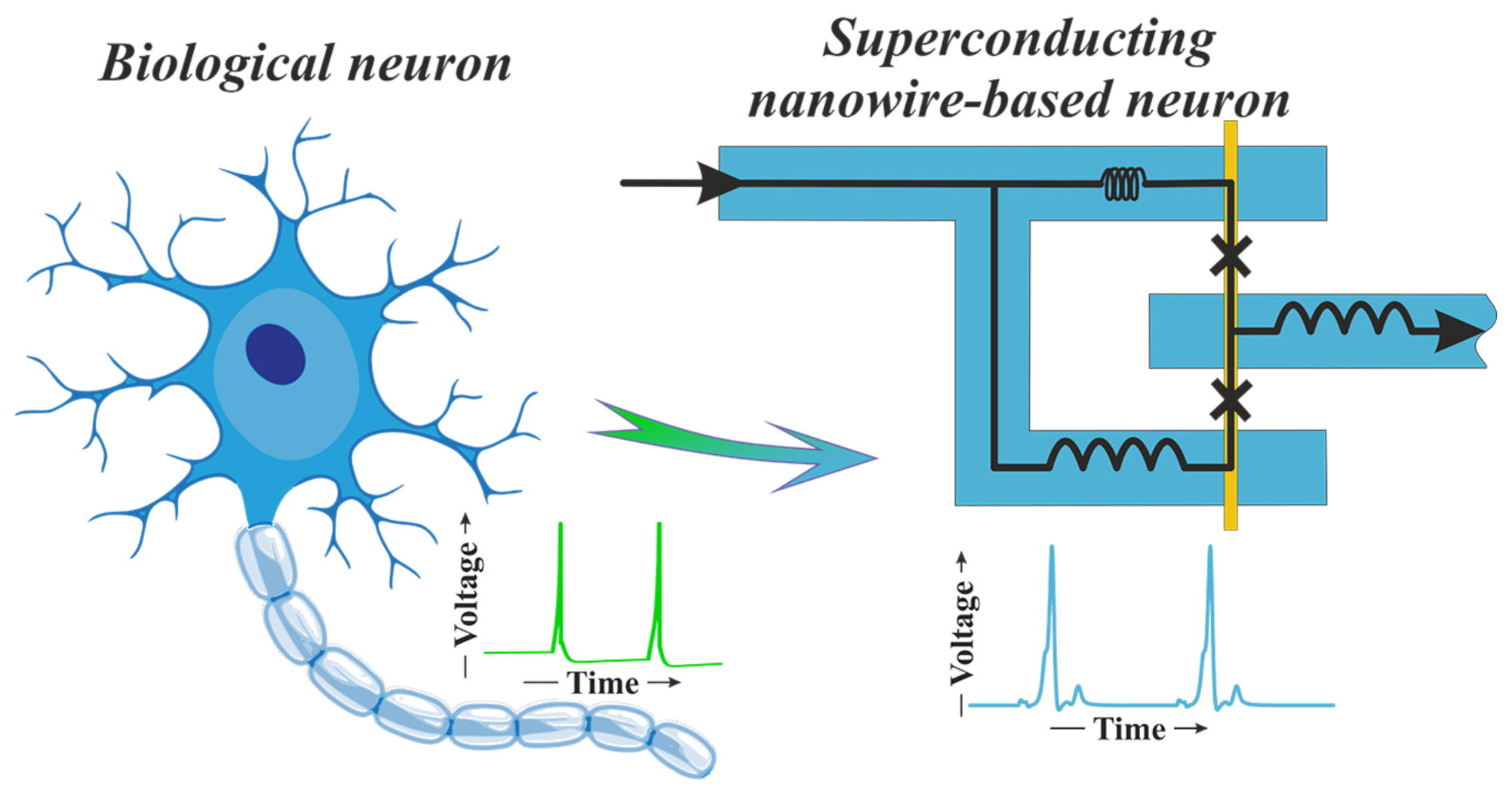 Nanomaterials 12 01671 g001