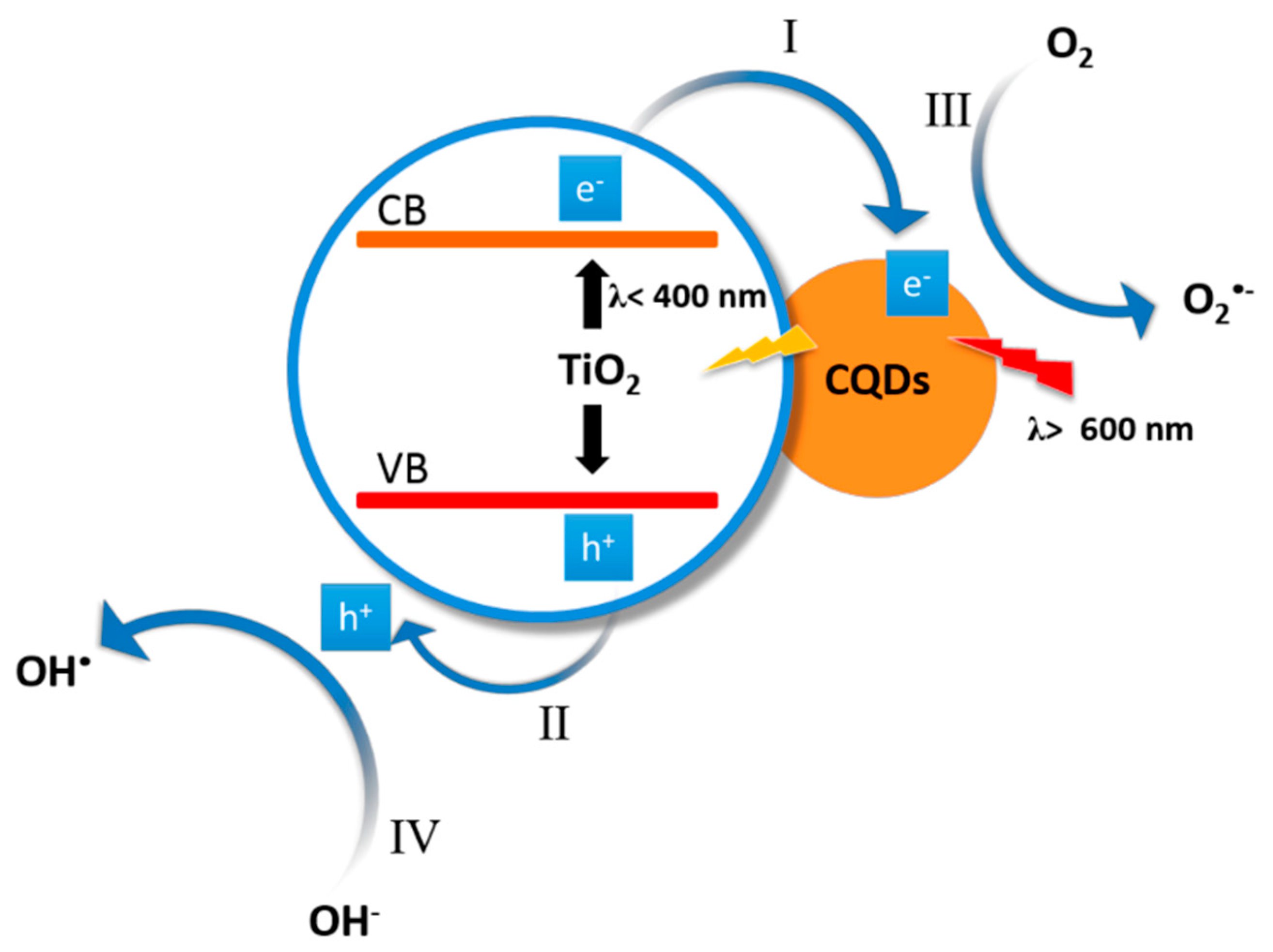 Nanomaterials 12 01679 g003