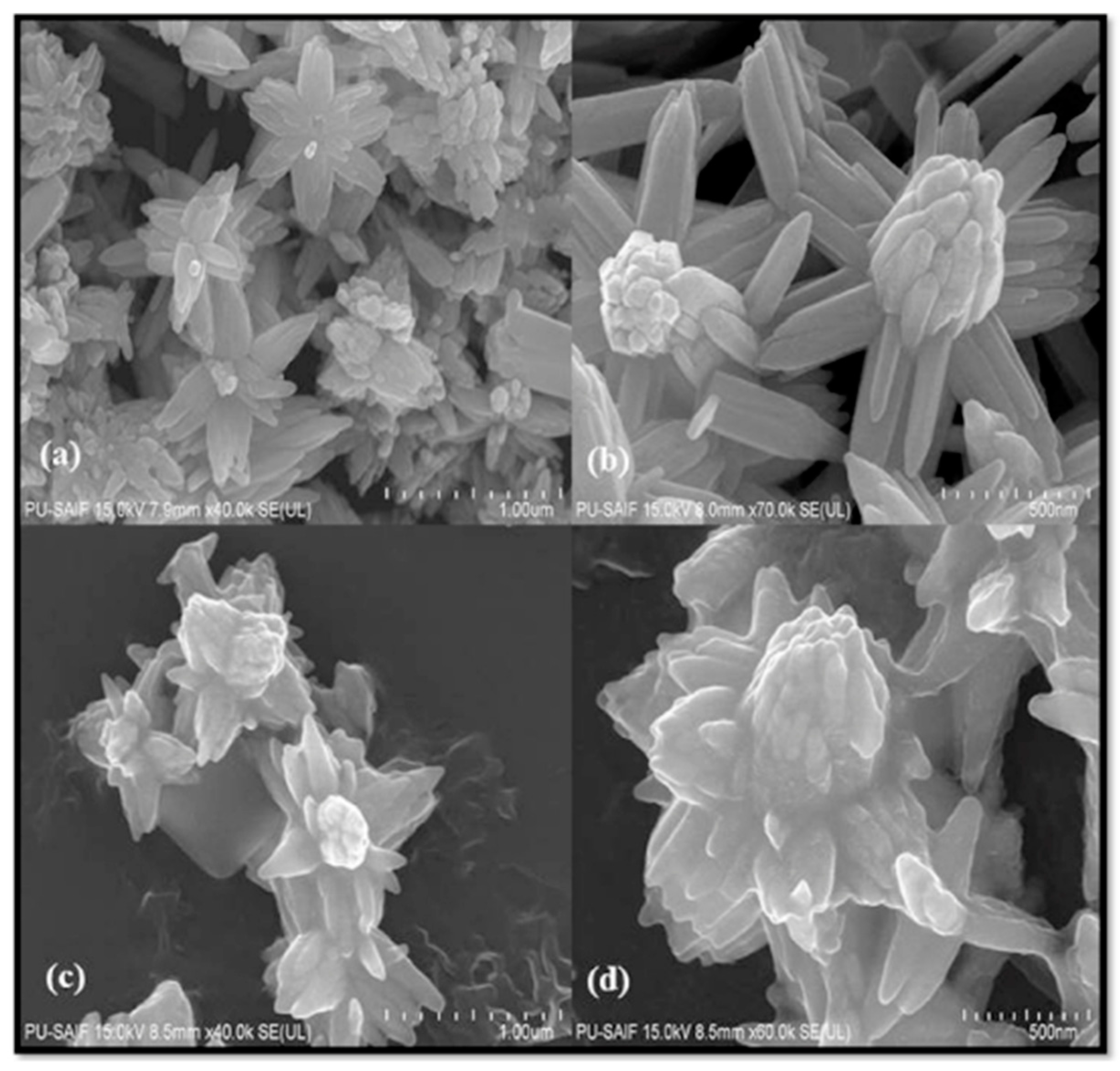 Nanomaterials 12 01679 g004
