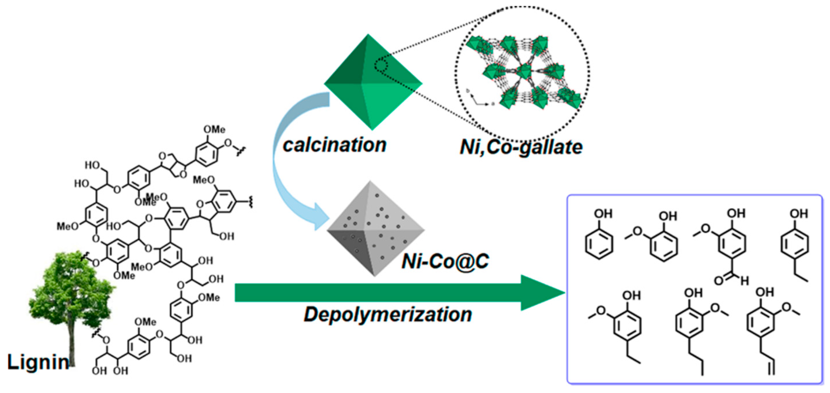 Nanomaterials 12 01679 g010