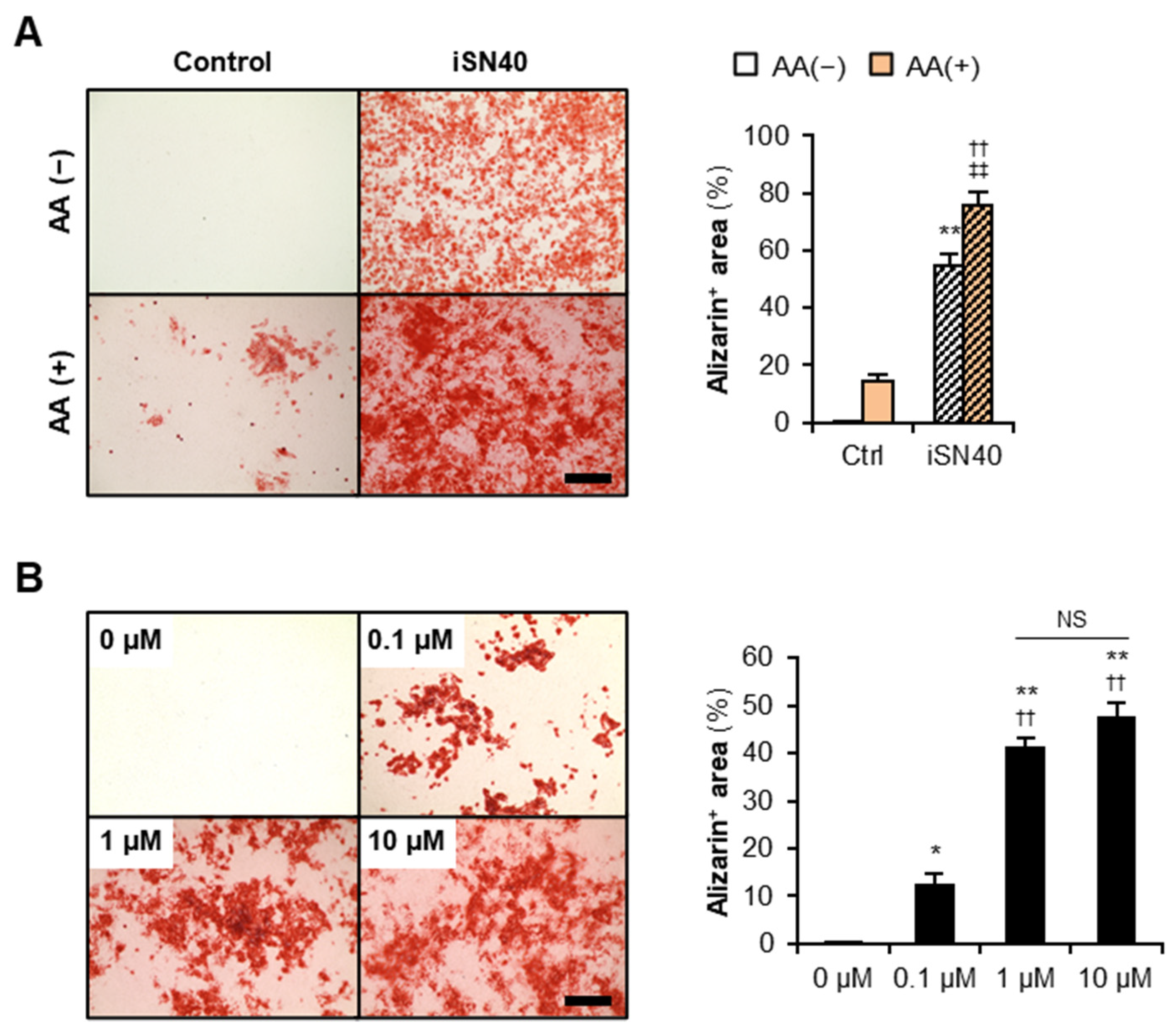 Nanomaterials 12 01680 g003