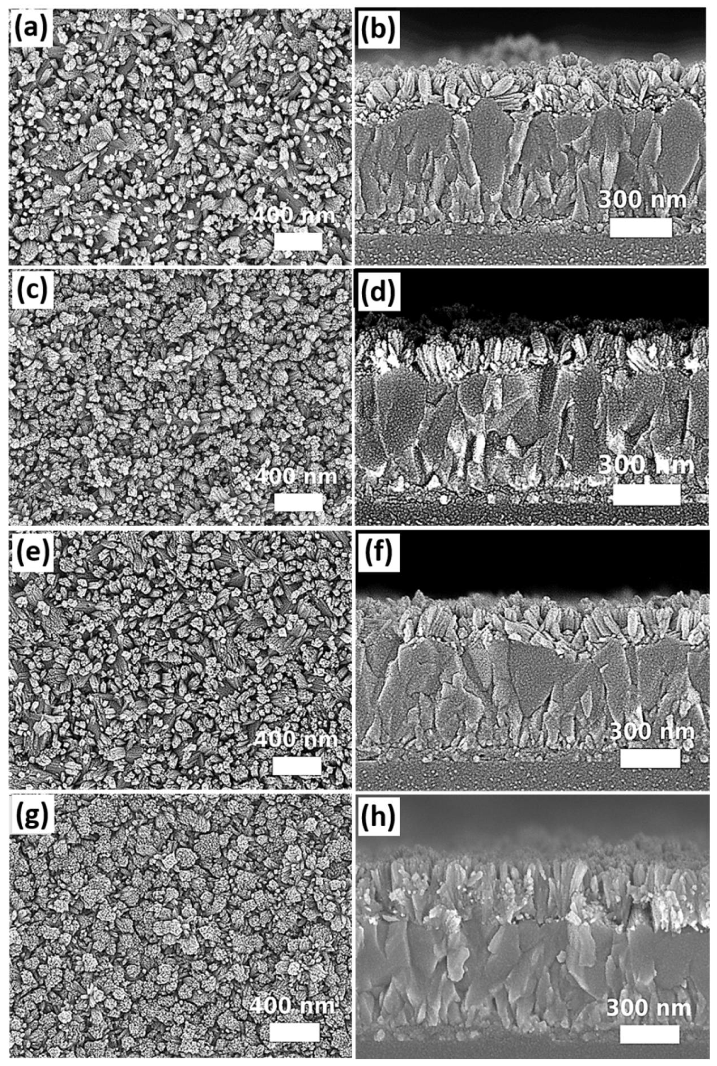 Nanomaterials 12 01686 g007