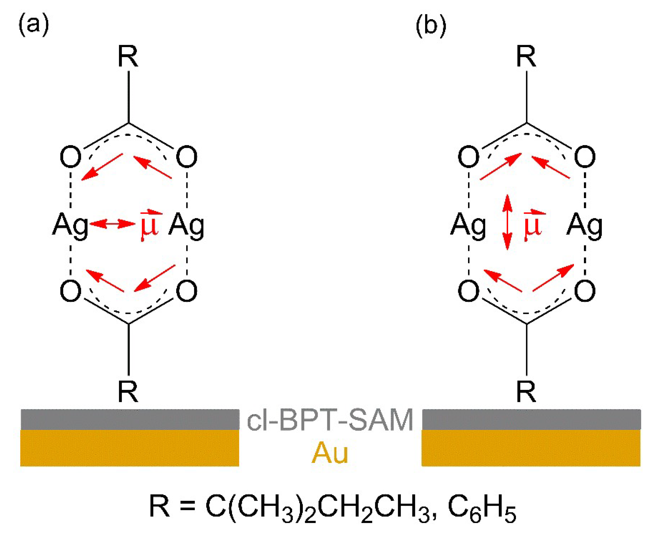 Nanomaterials 12 01687 g004