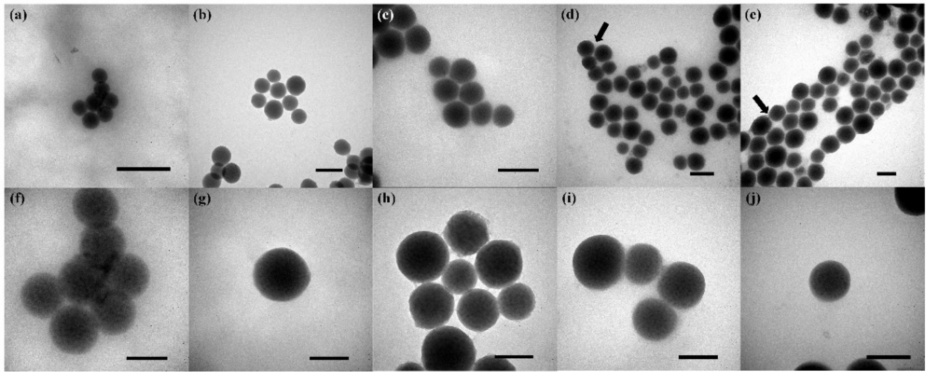 Nanomaterials 12 01691 g001 550