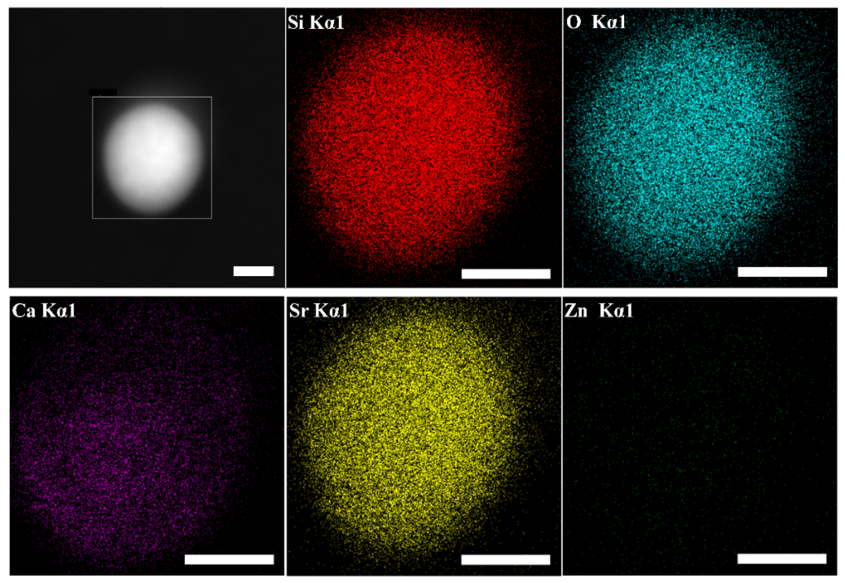 Nanomaterials 12 01691 g002 550