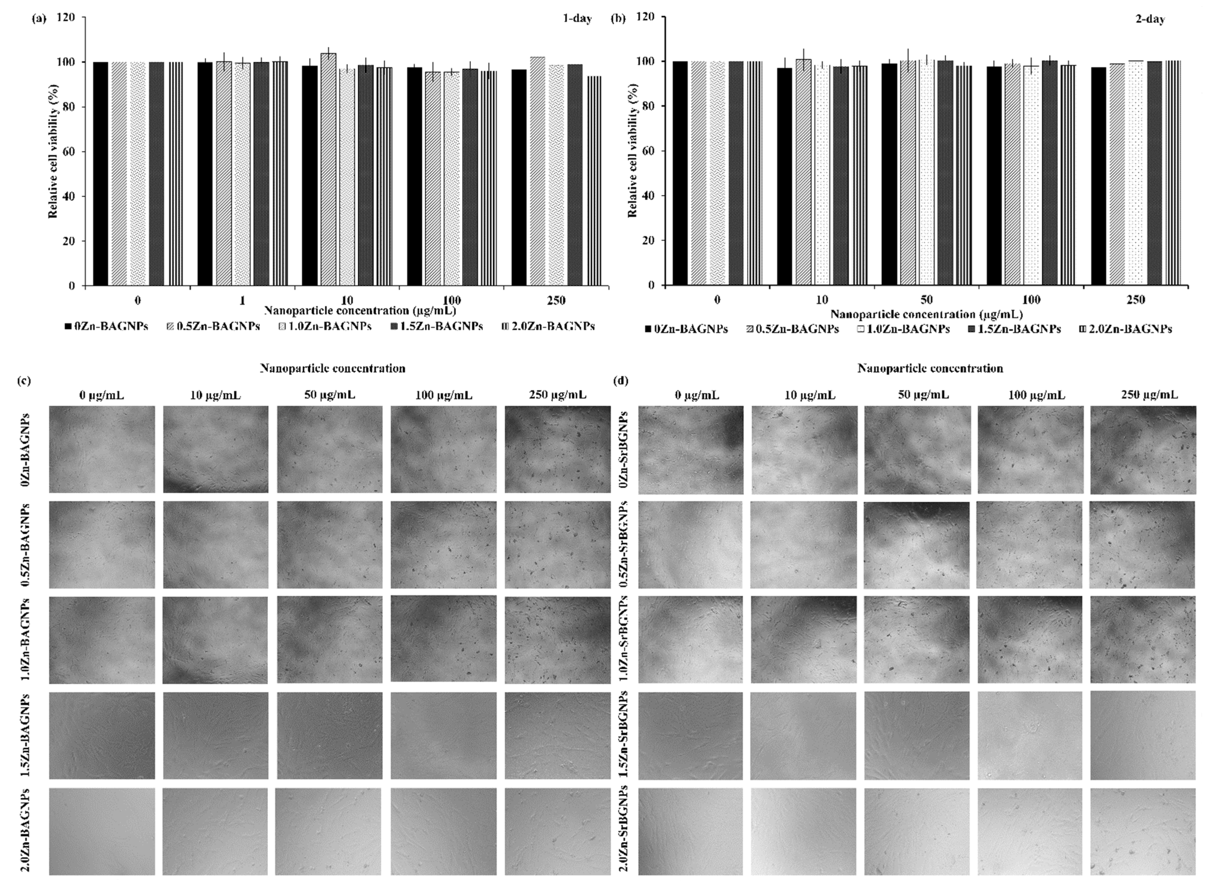 Nanomaterials 12 01691 g009 550
