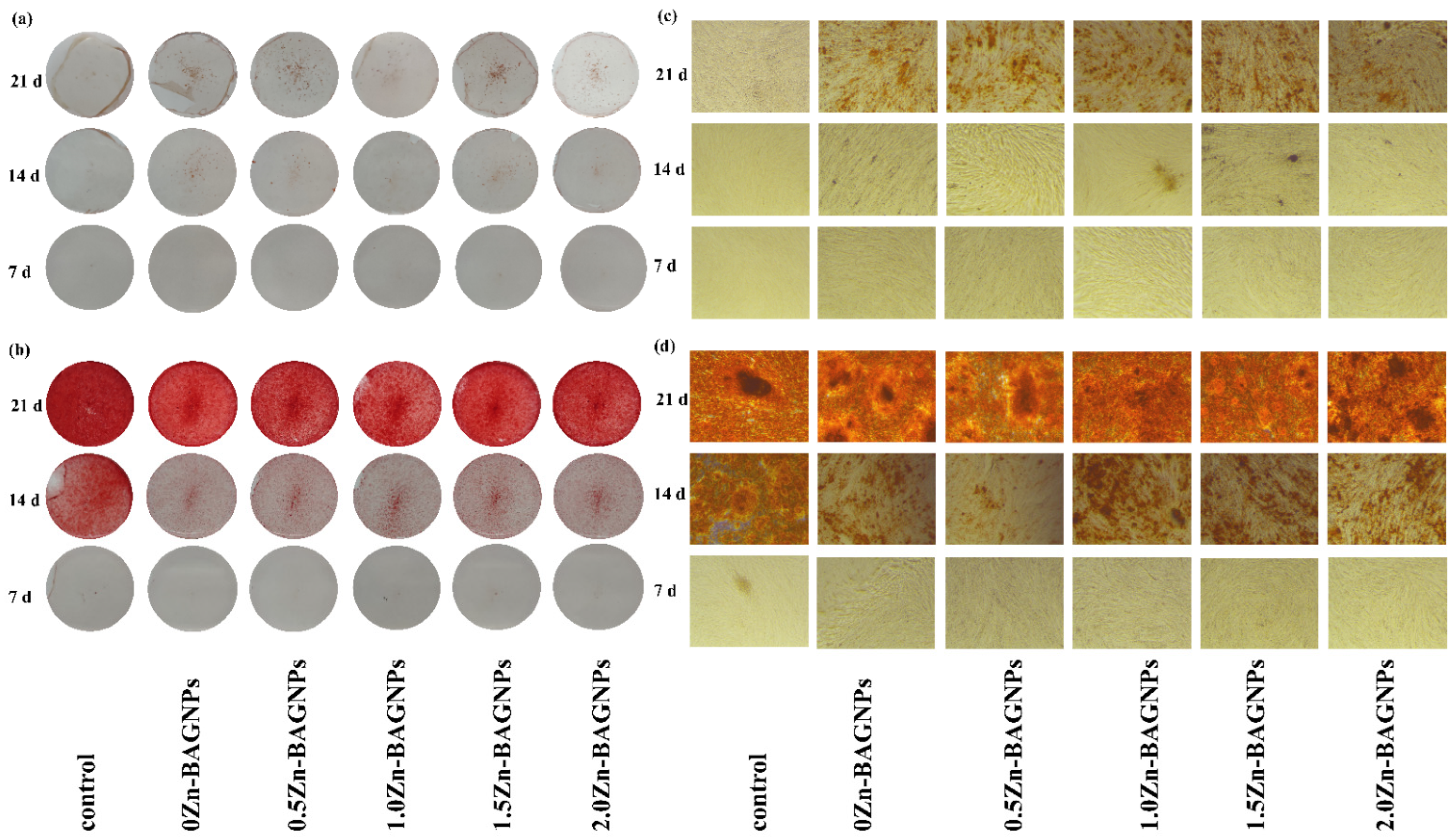 Nanomaterials 12 01691 g010 550