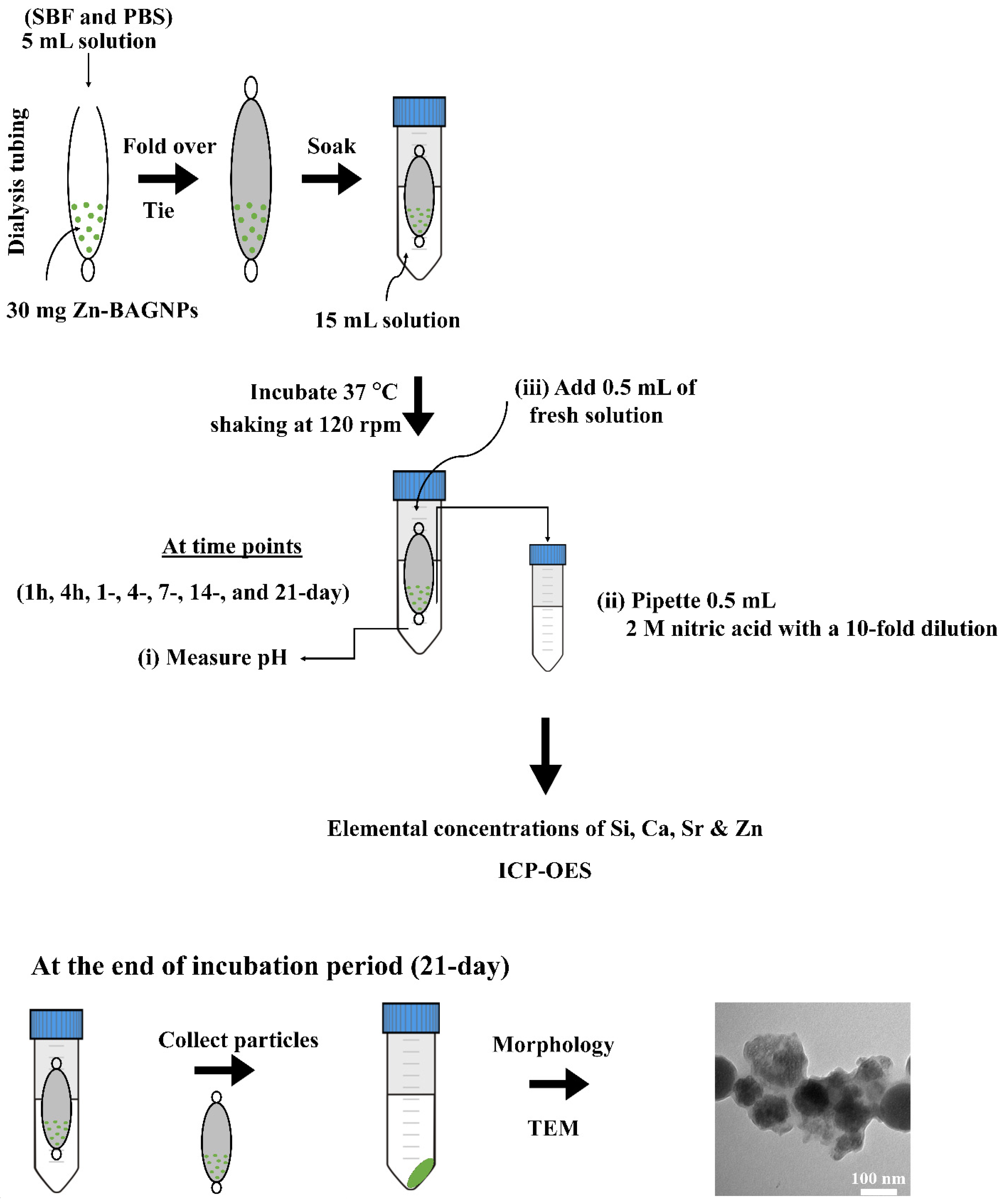 Nanomaterials 12 01691 sch003 550