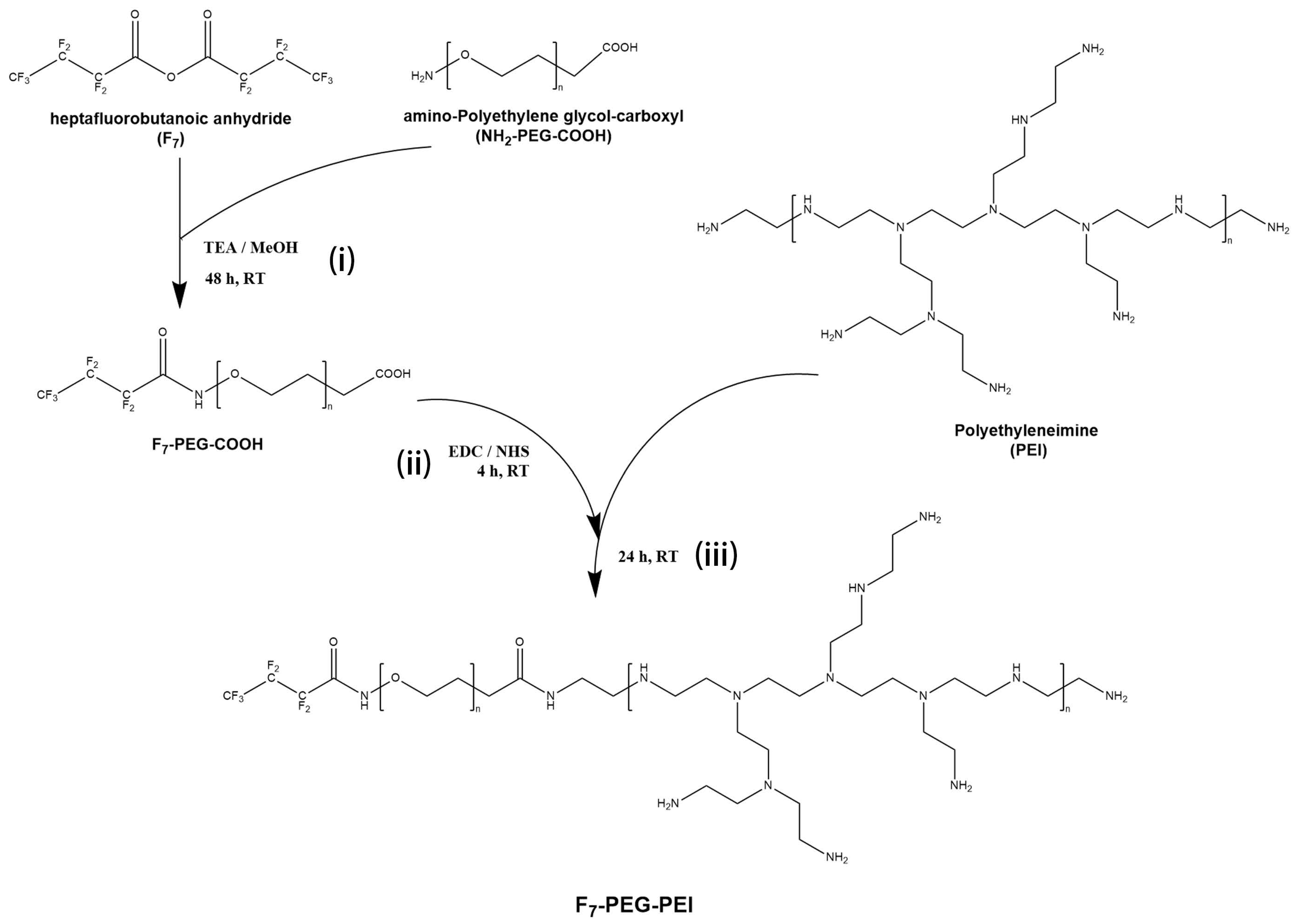 Nanomaterials 12 01692 g001 550