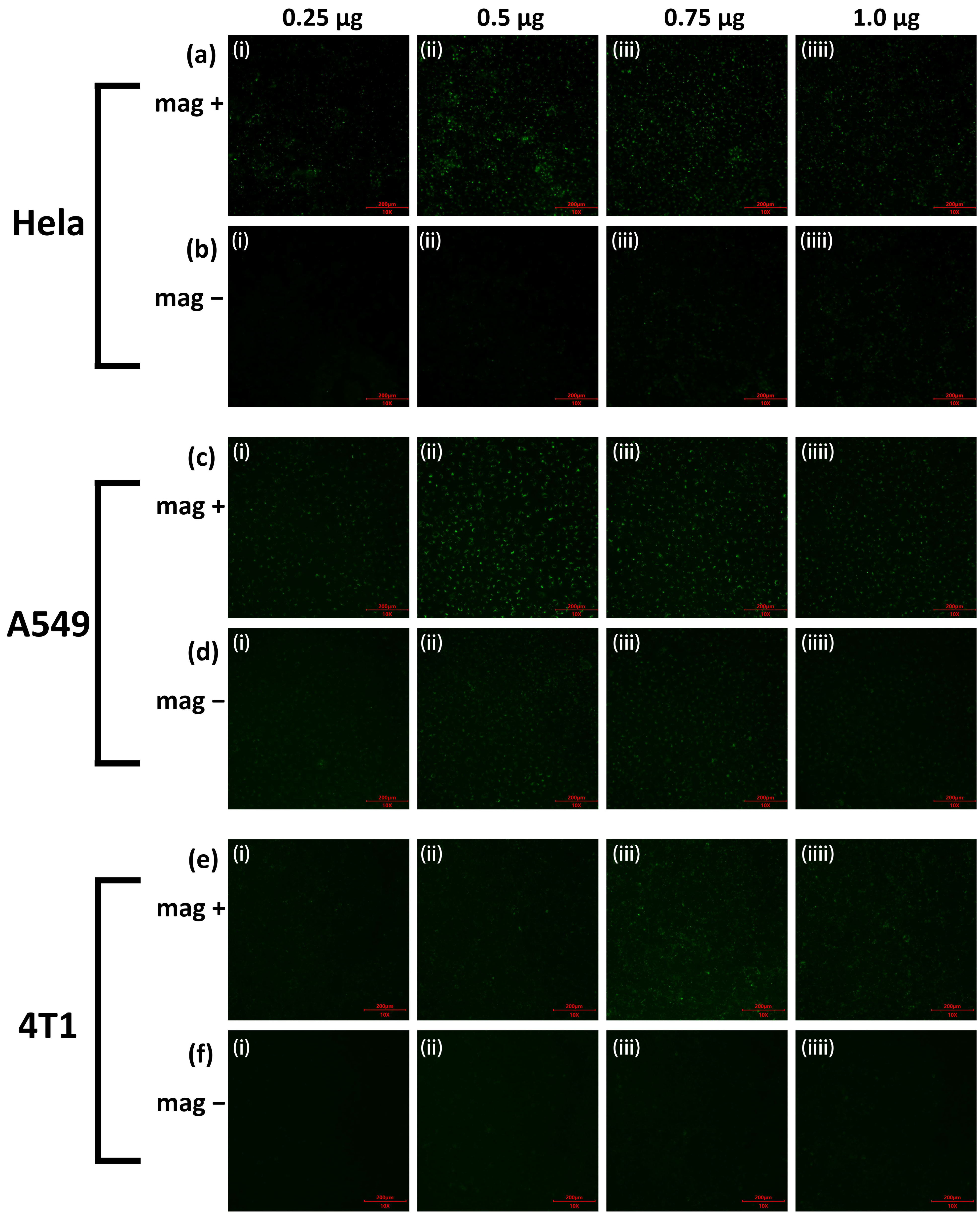 Nanomaterials 12 01692 g005 550