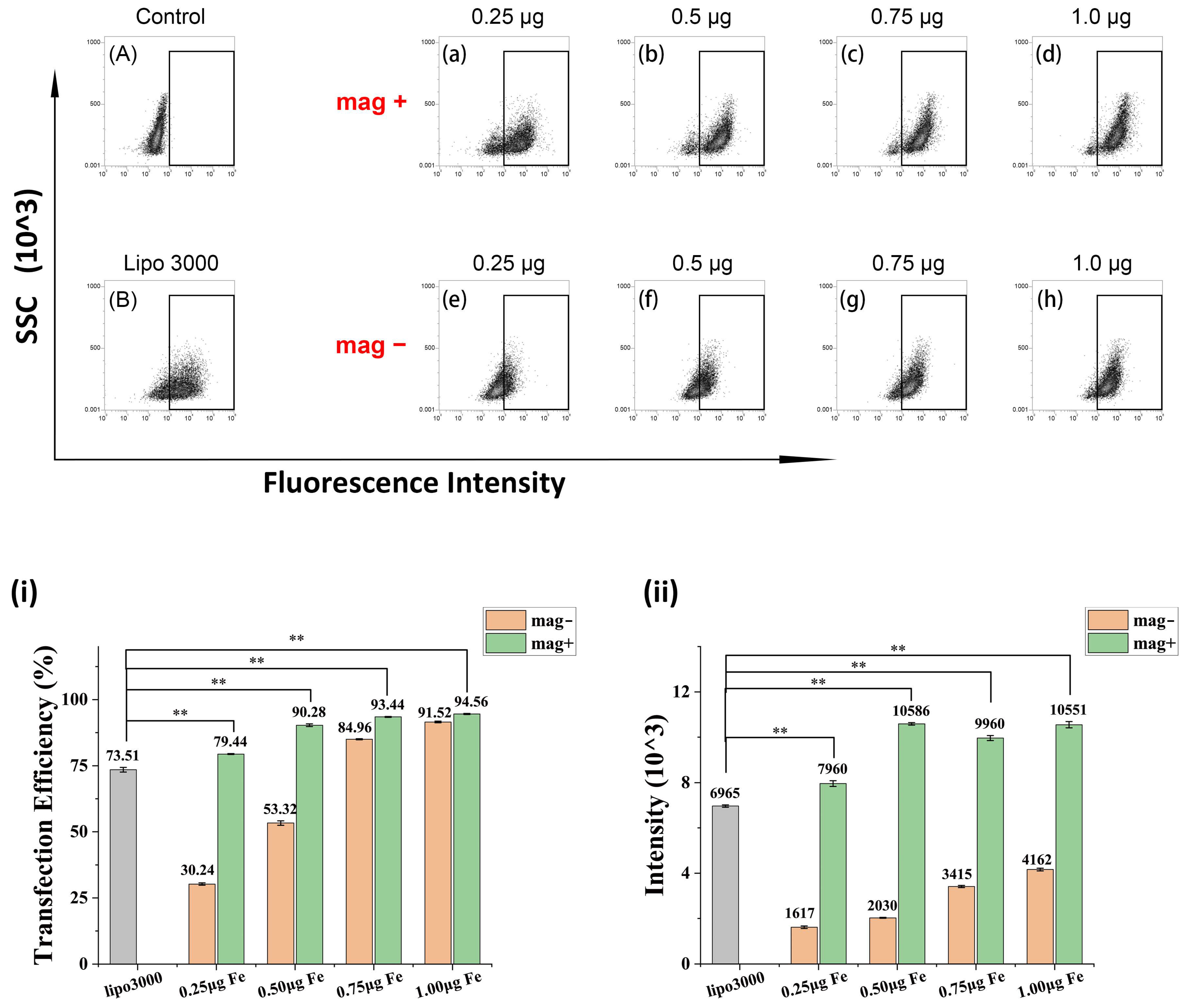 Nanomaterials 12 01692 g007 550