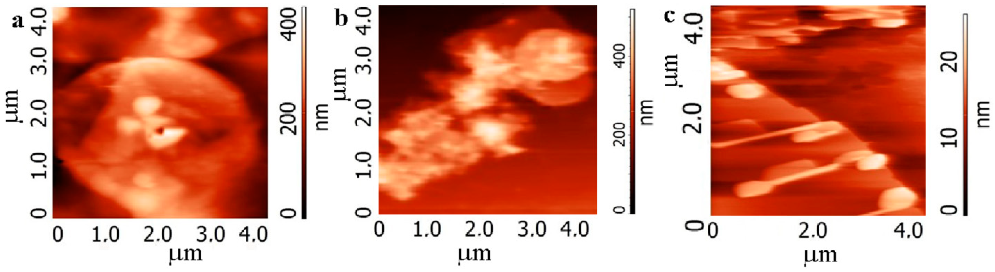 Nanomaterials 12 01703 g004 550