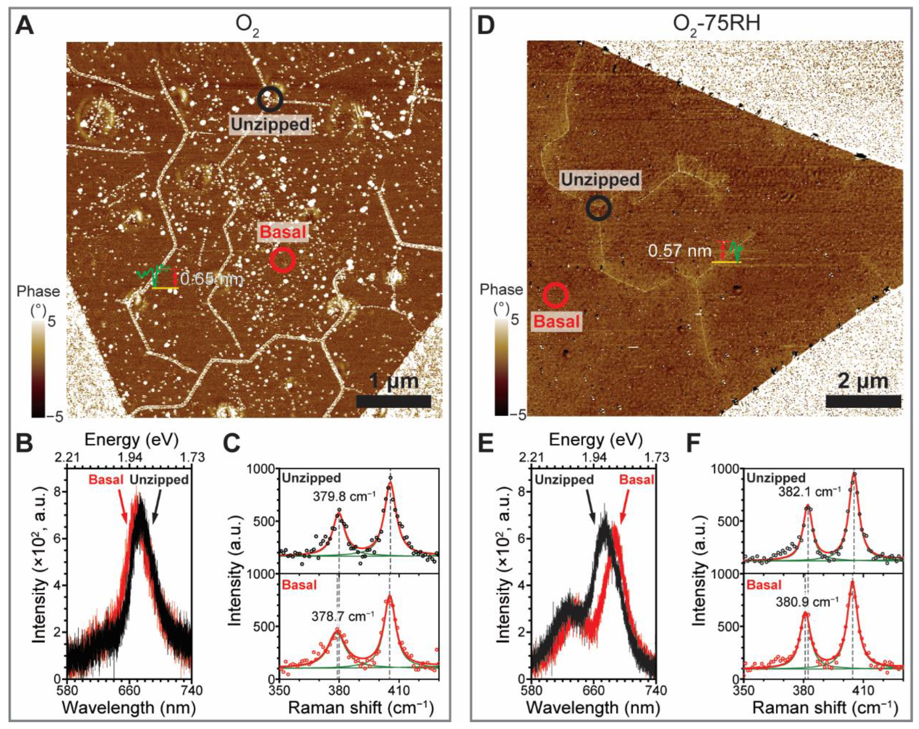 Nanomaterials 12 01706 g005