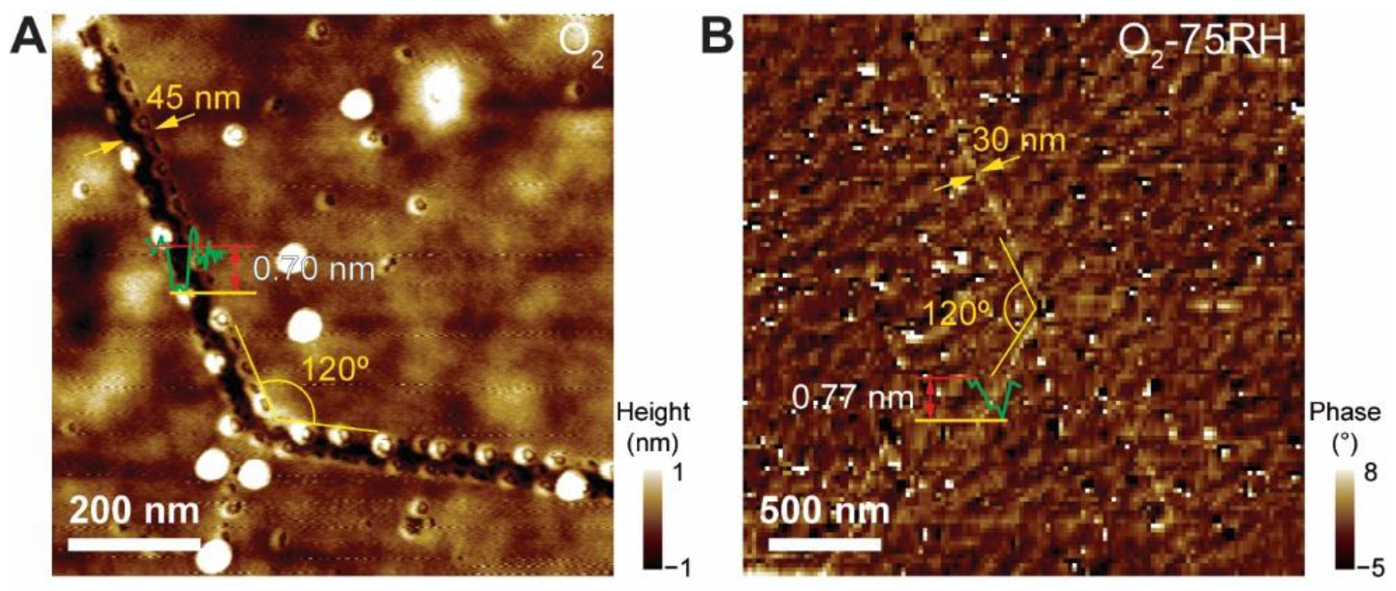 Nanomaterials 12 01706 g006