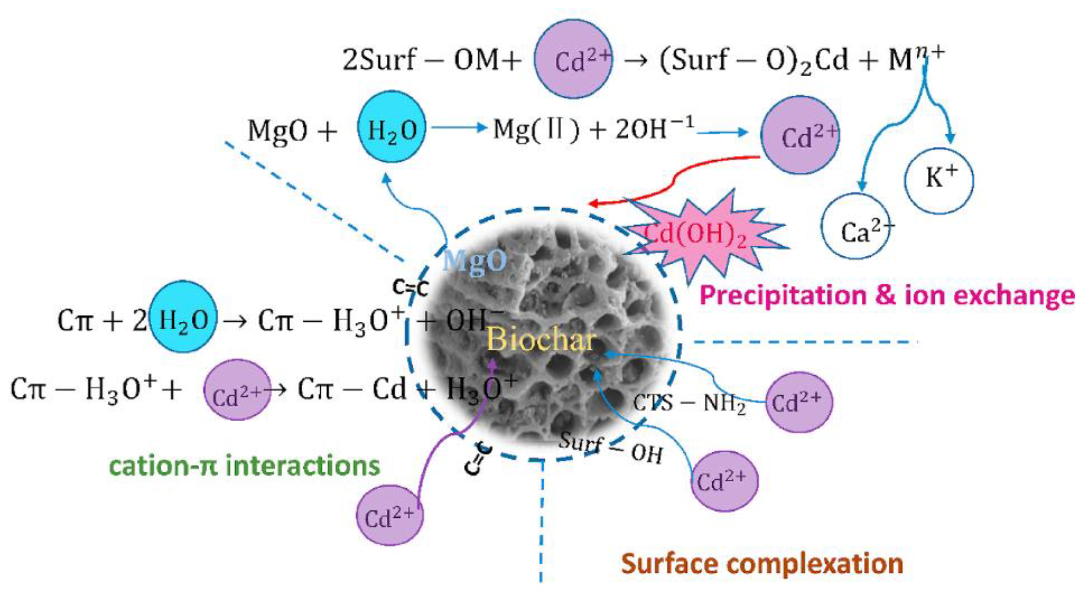 Nanomaterials 12 01707 g004