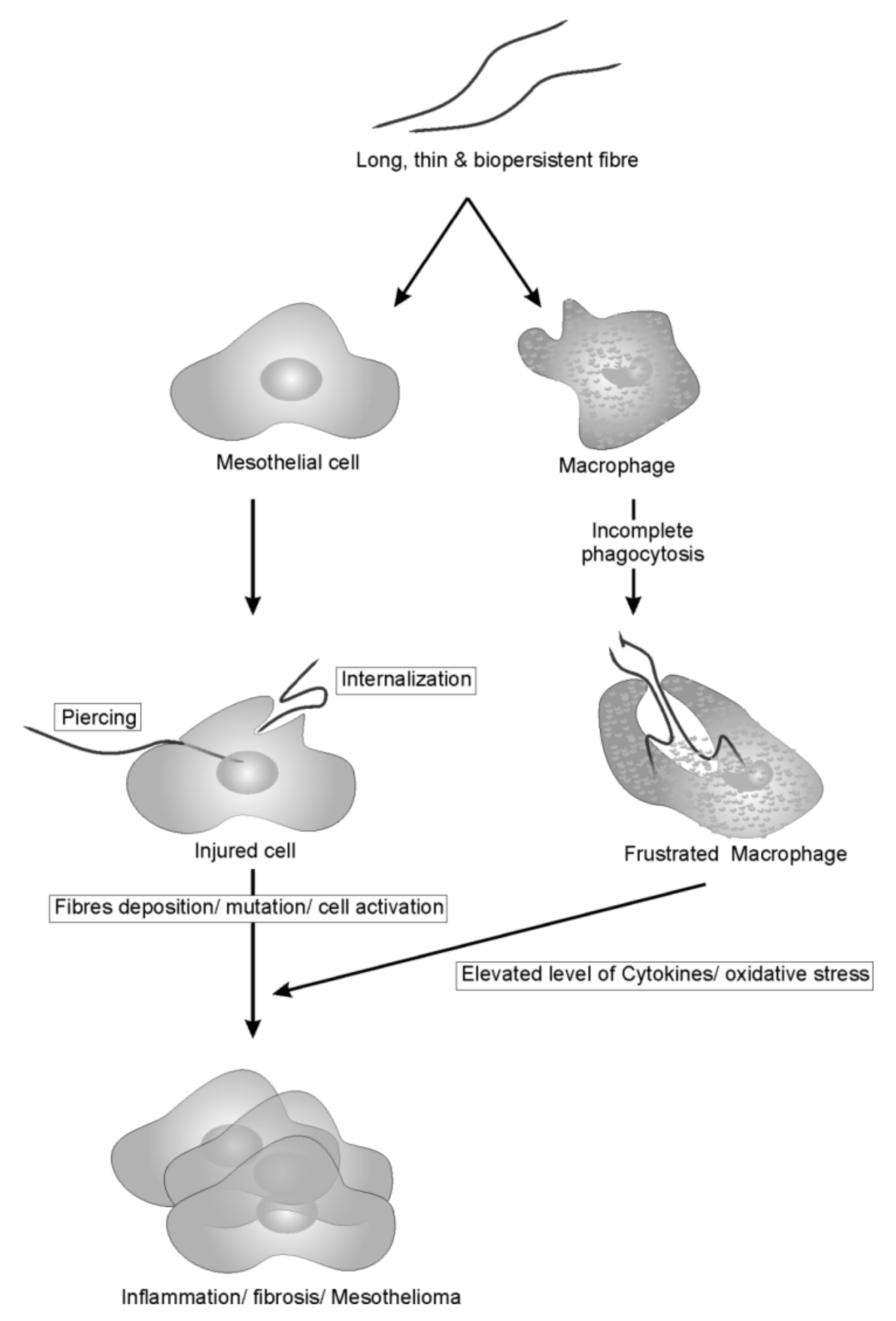 Nanomaterials 12 01708 g001 Nanomaterials 12 01708 g001