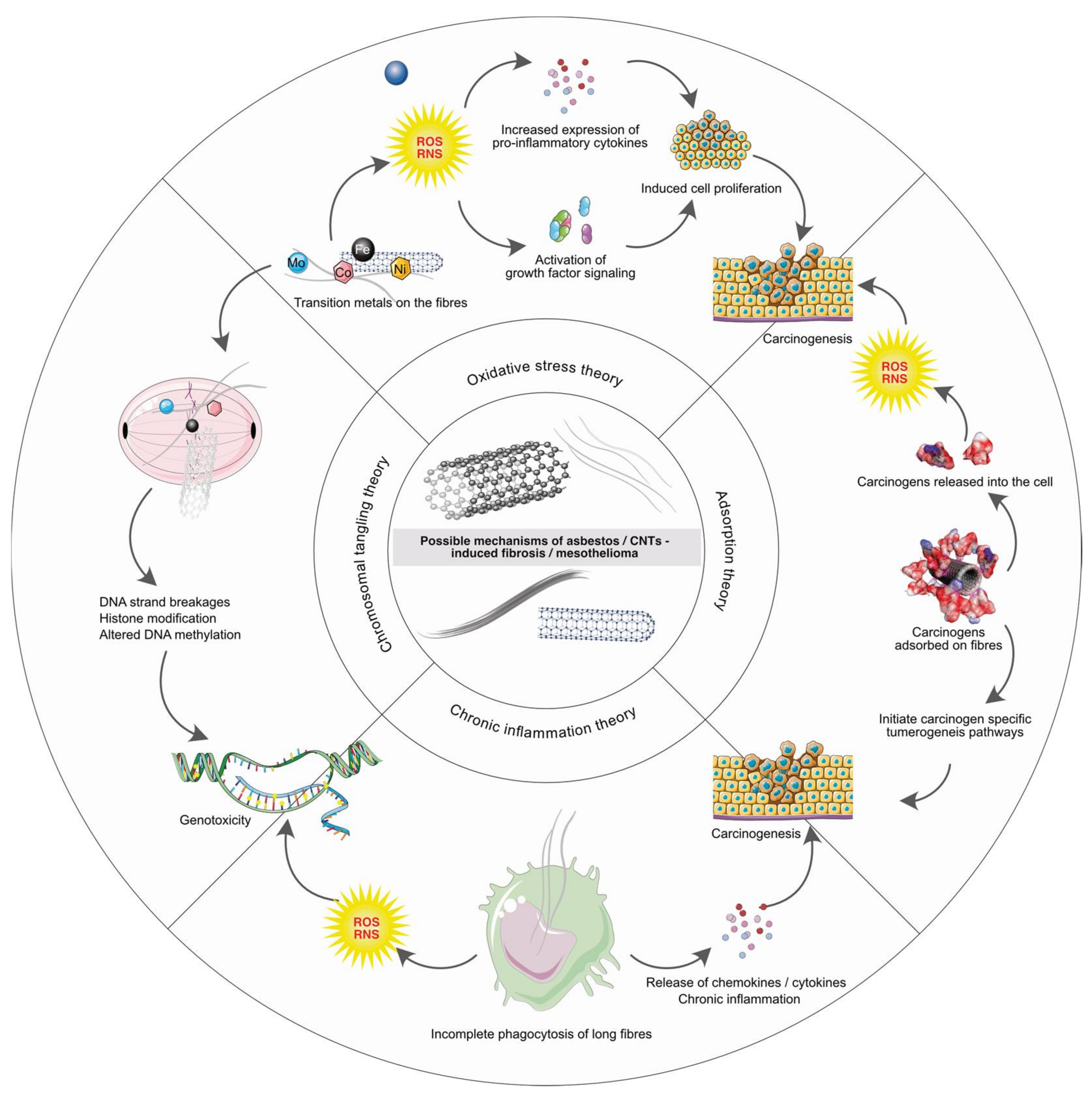 Nanomaterials 12 01708 g002 Nanomaterials 12 01708 g002