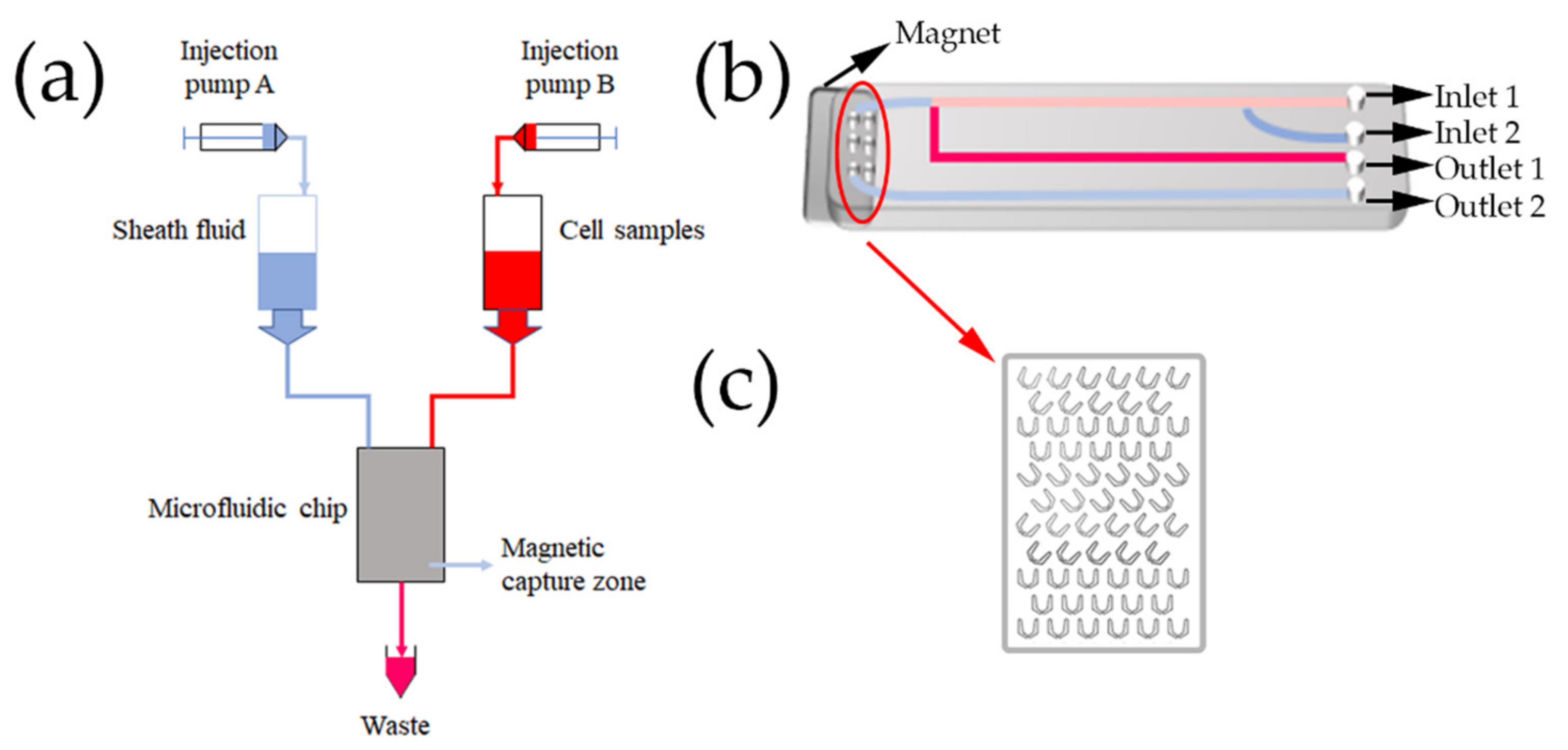 Nanomaterials 12 01711 g001 550