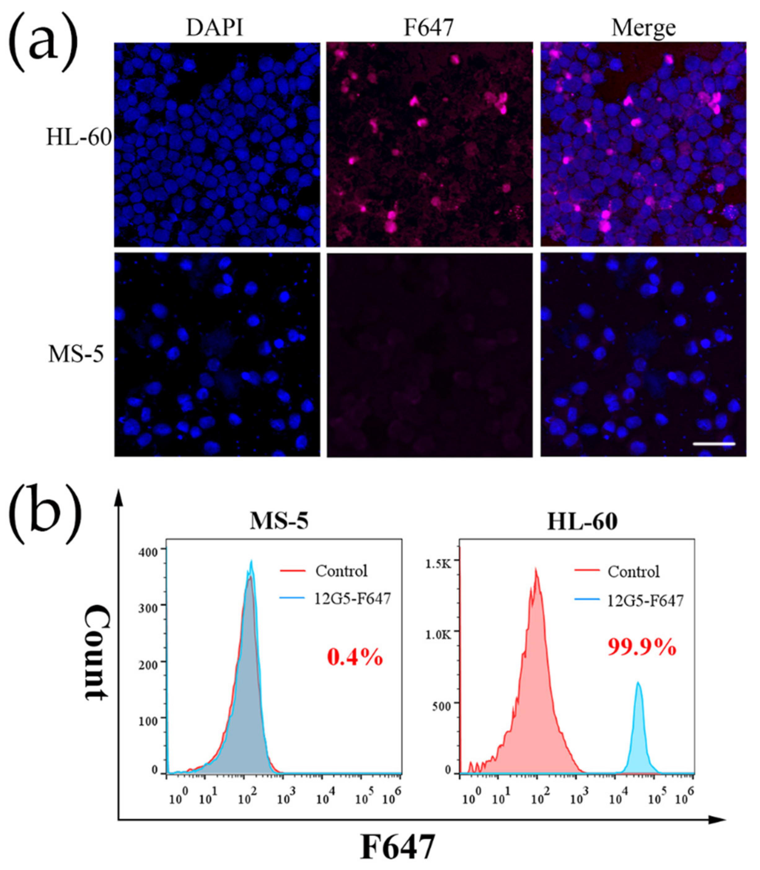 Nanomaterials 12 01711 g004 550