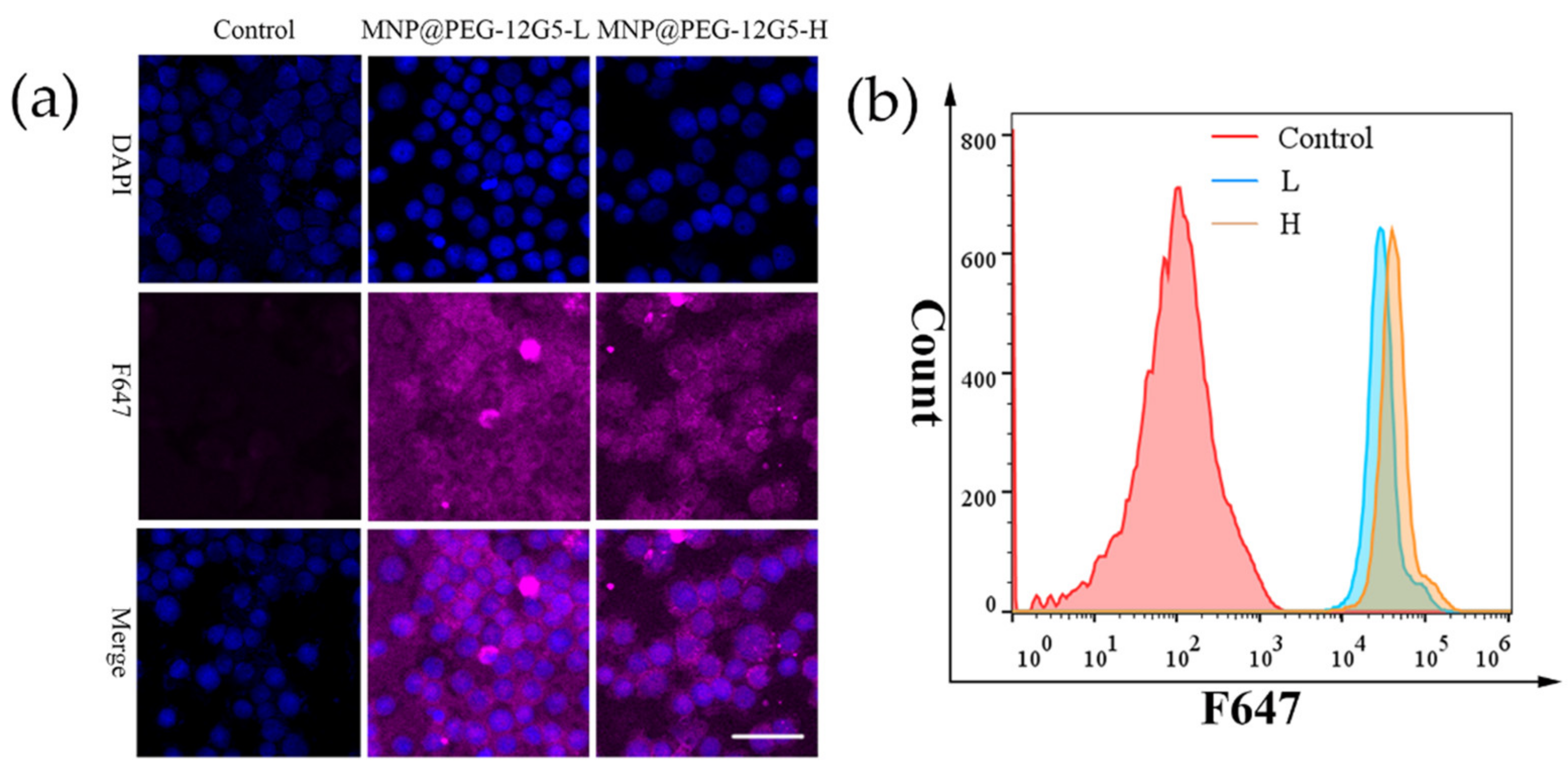Nanomaterials 12 01711 g005 550