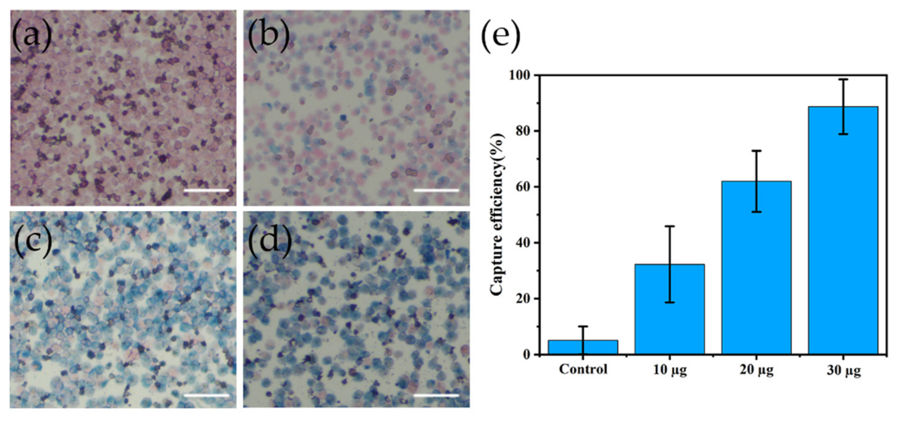 Nanomaterials 12 01711 g007 550