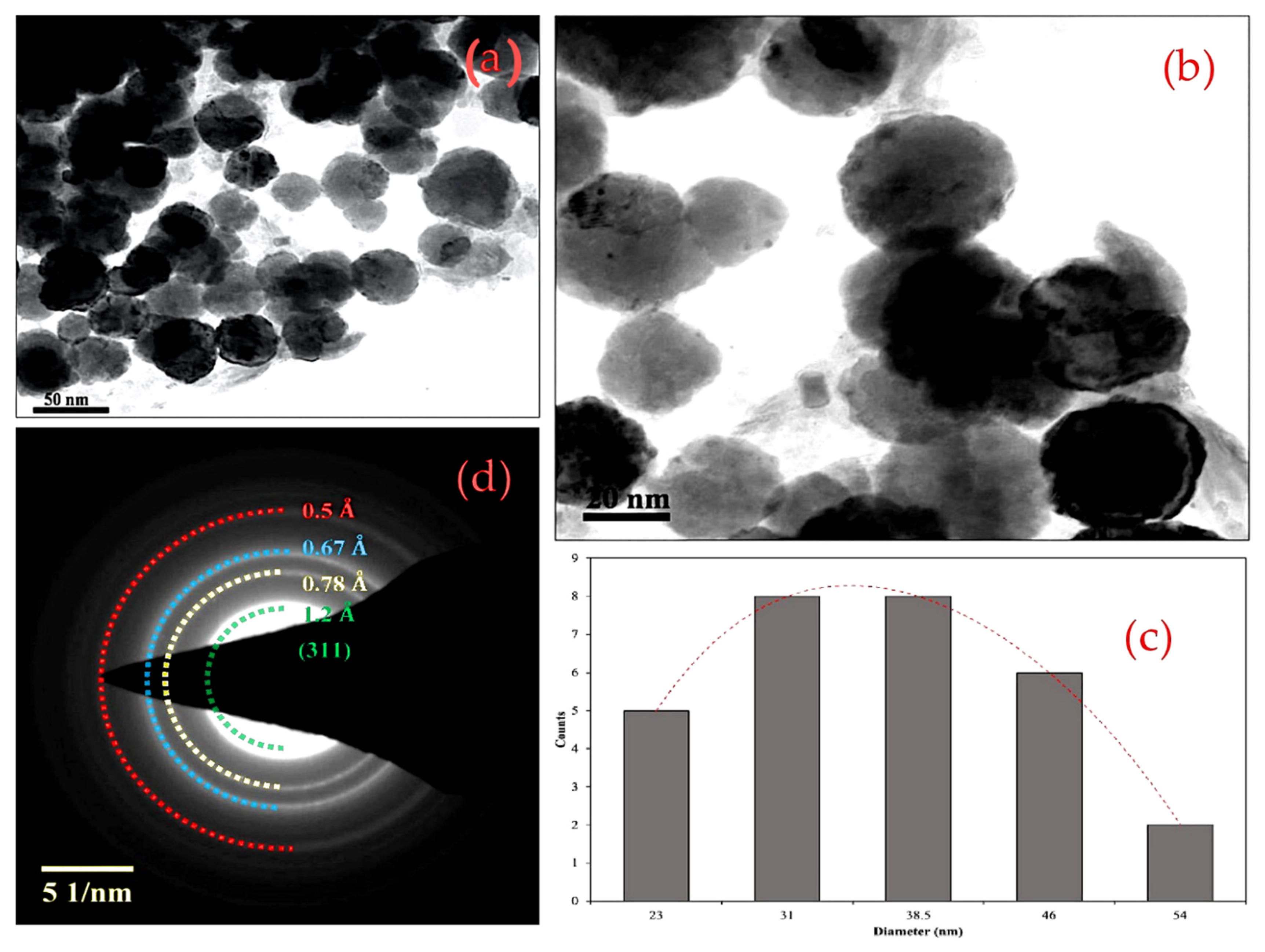 Nanomaterials 12 01725 g003 550