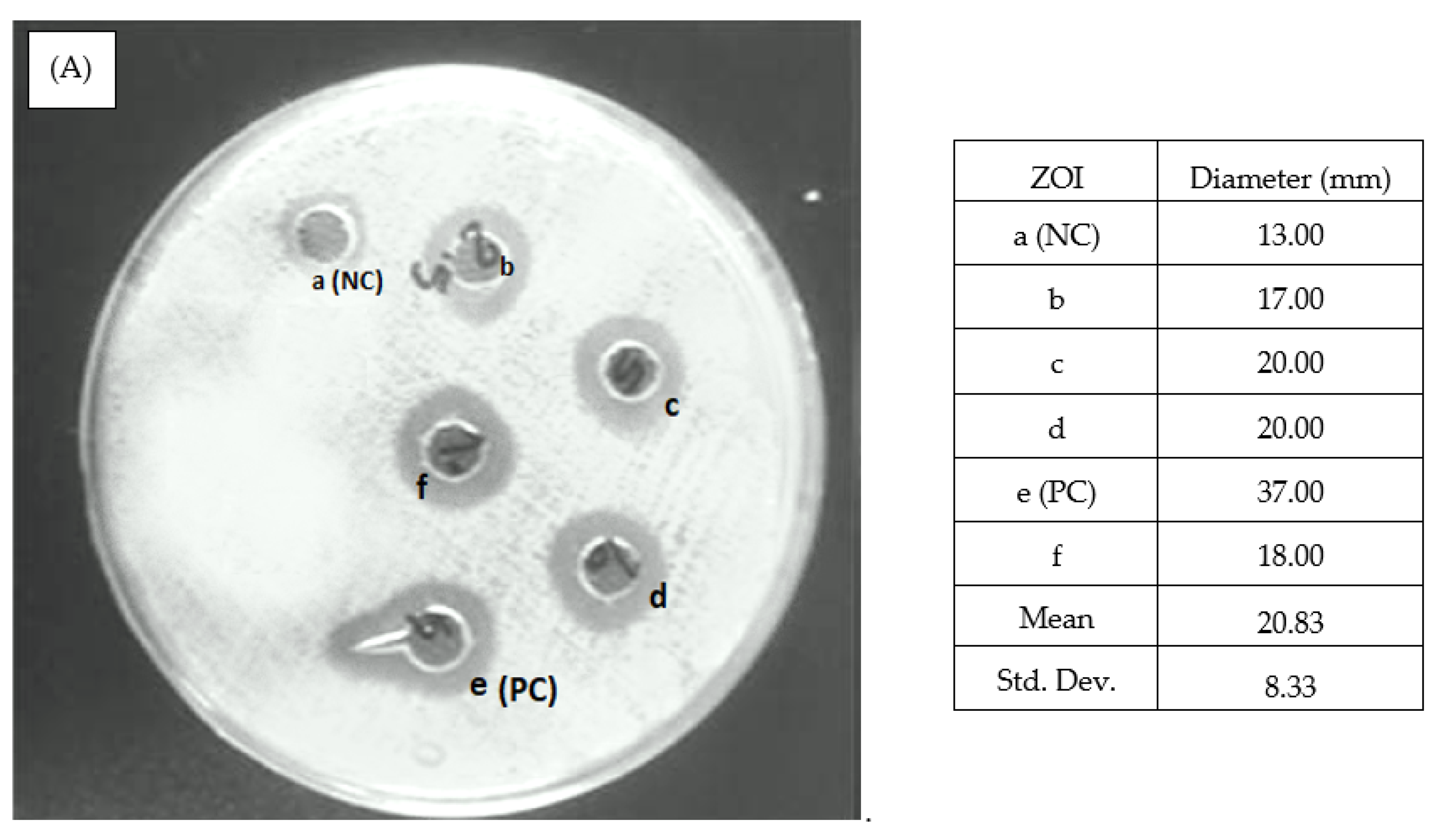 Nanomaterials 12 01725 g008a 550