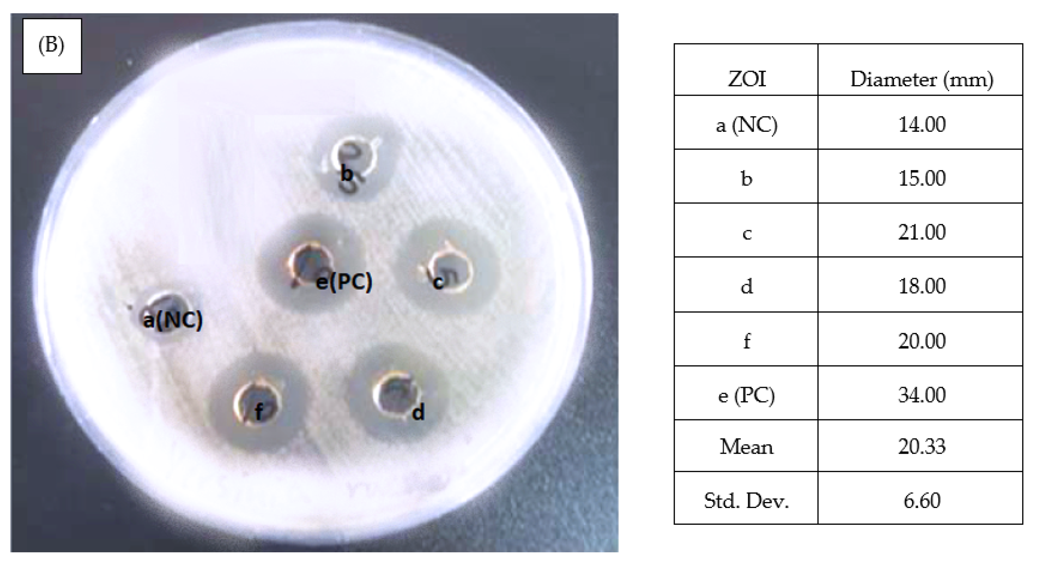 Nanomaterials 12 01725 g008b 550