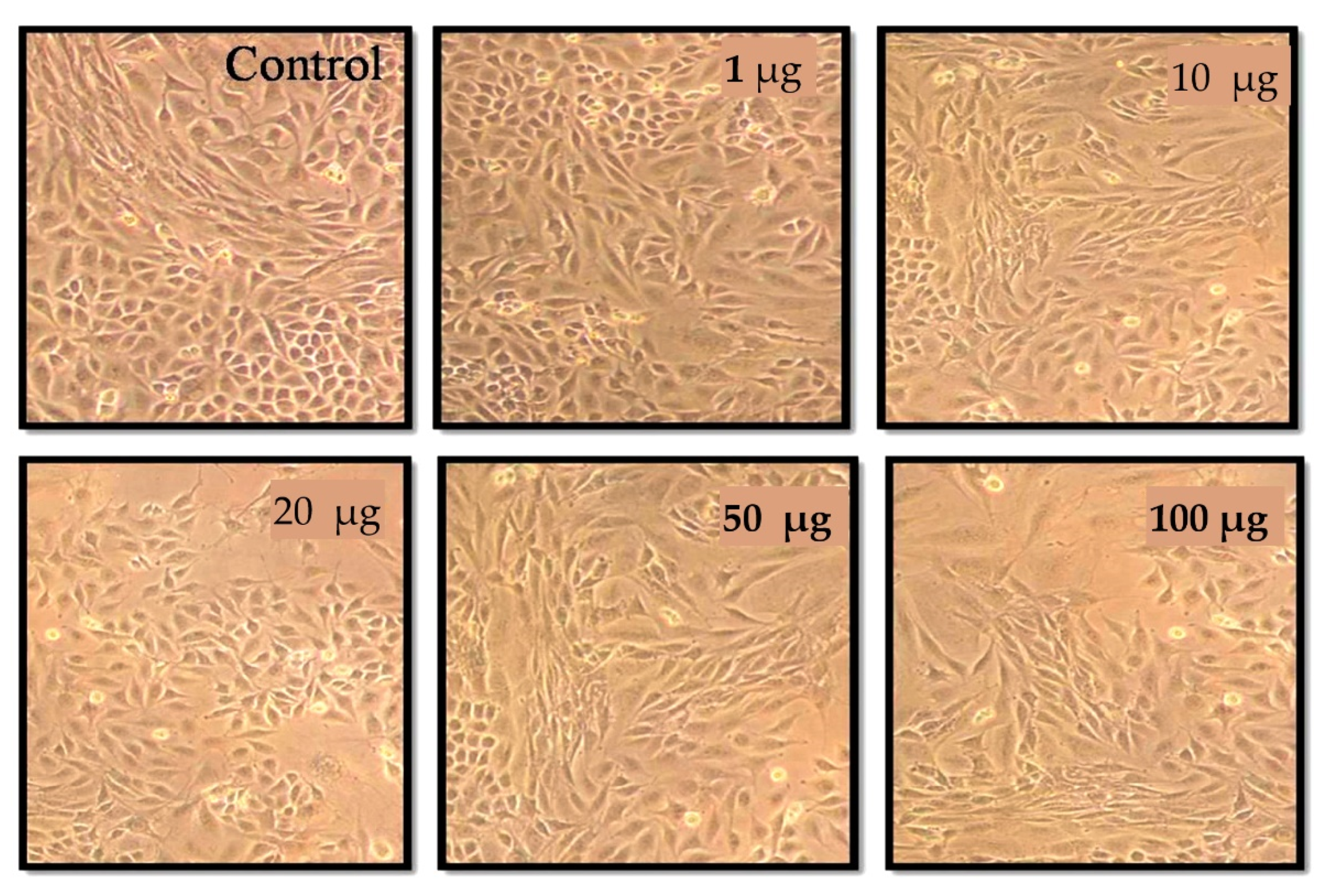 Nanomaterials 12 01725 g011 550