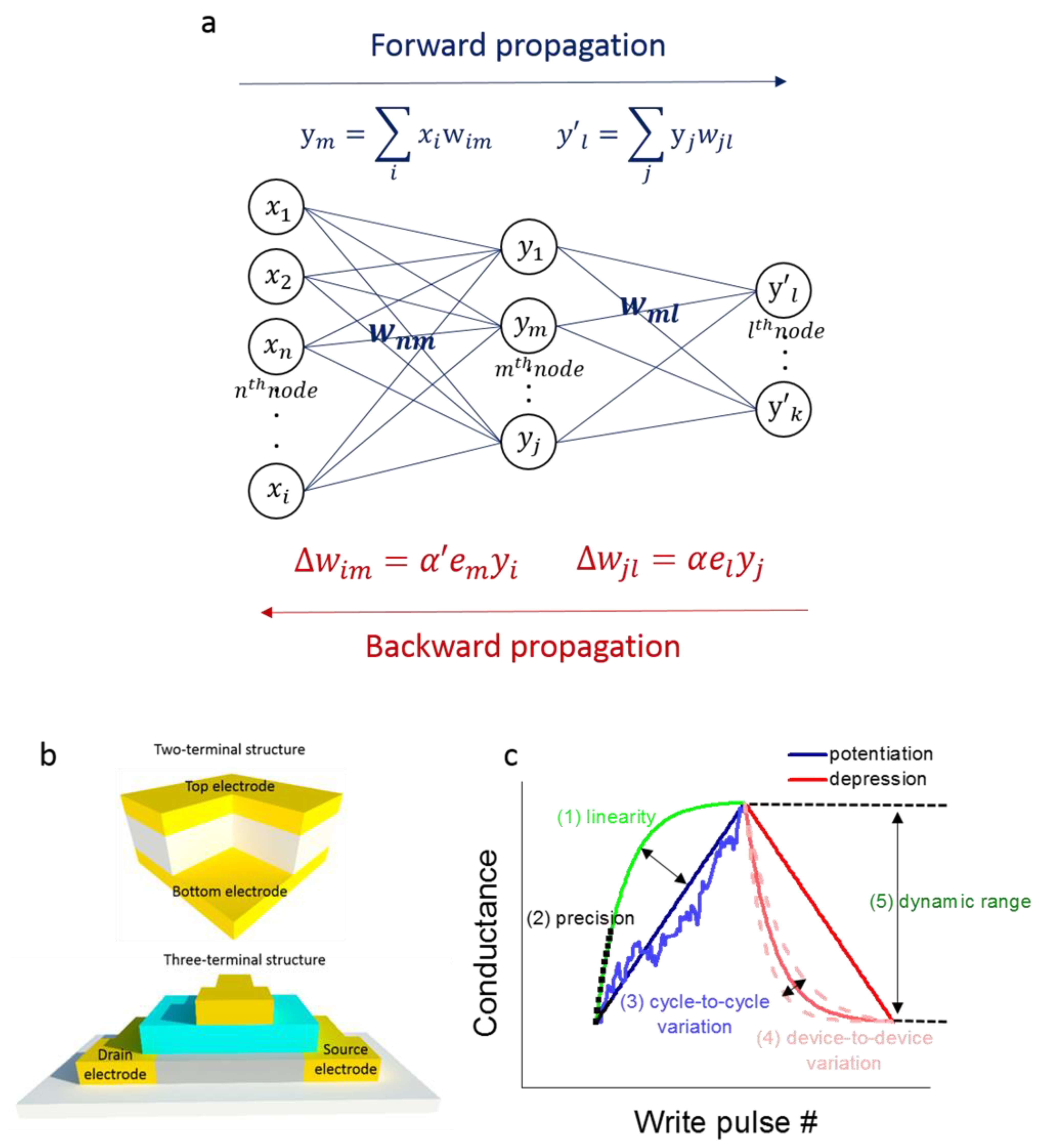 Nanomaterials 12 01728 g002