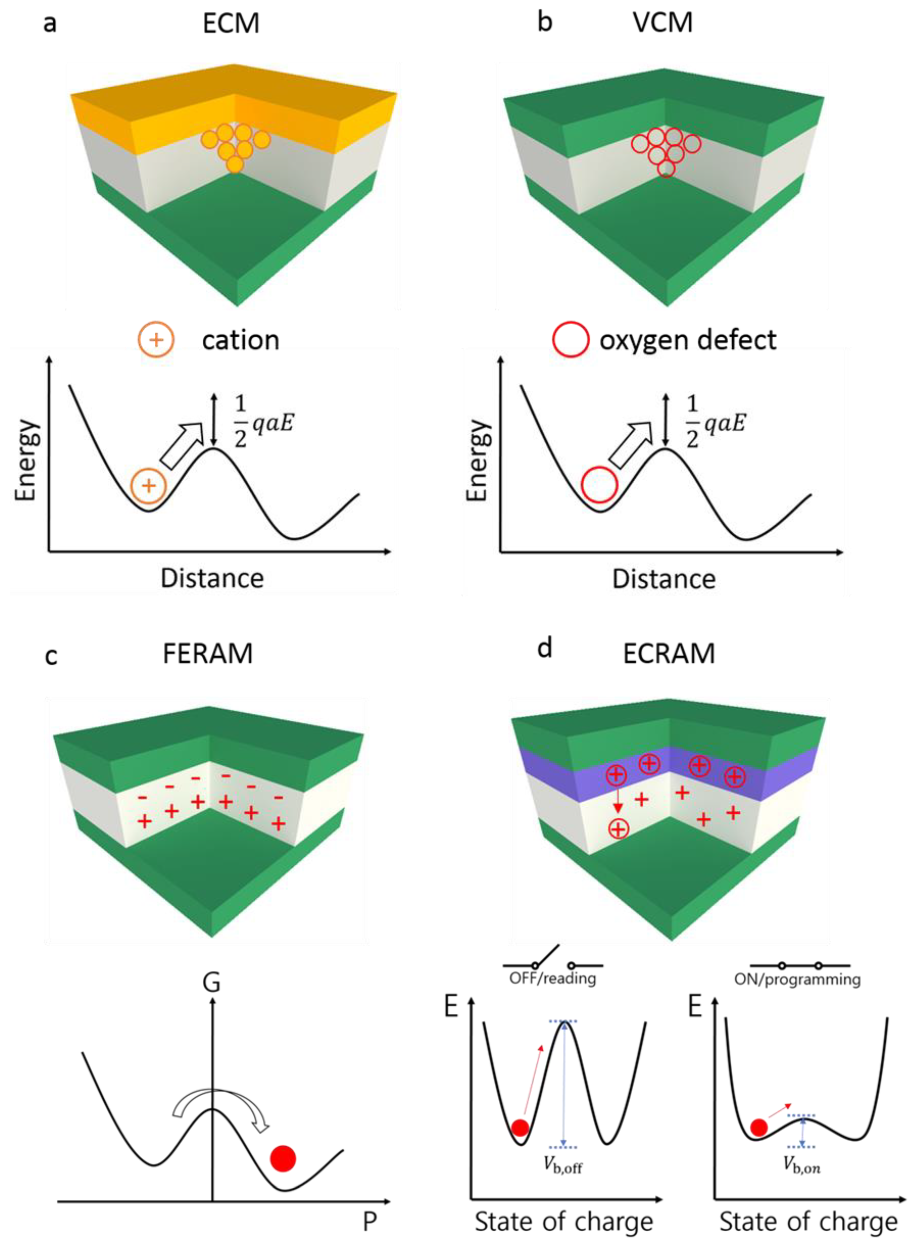 Nanomaterials 12 01728 g003
