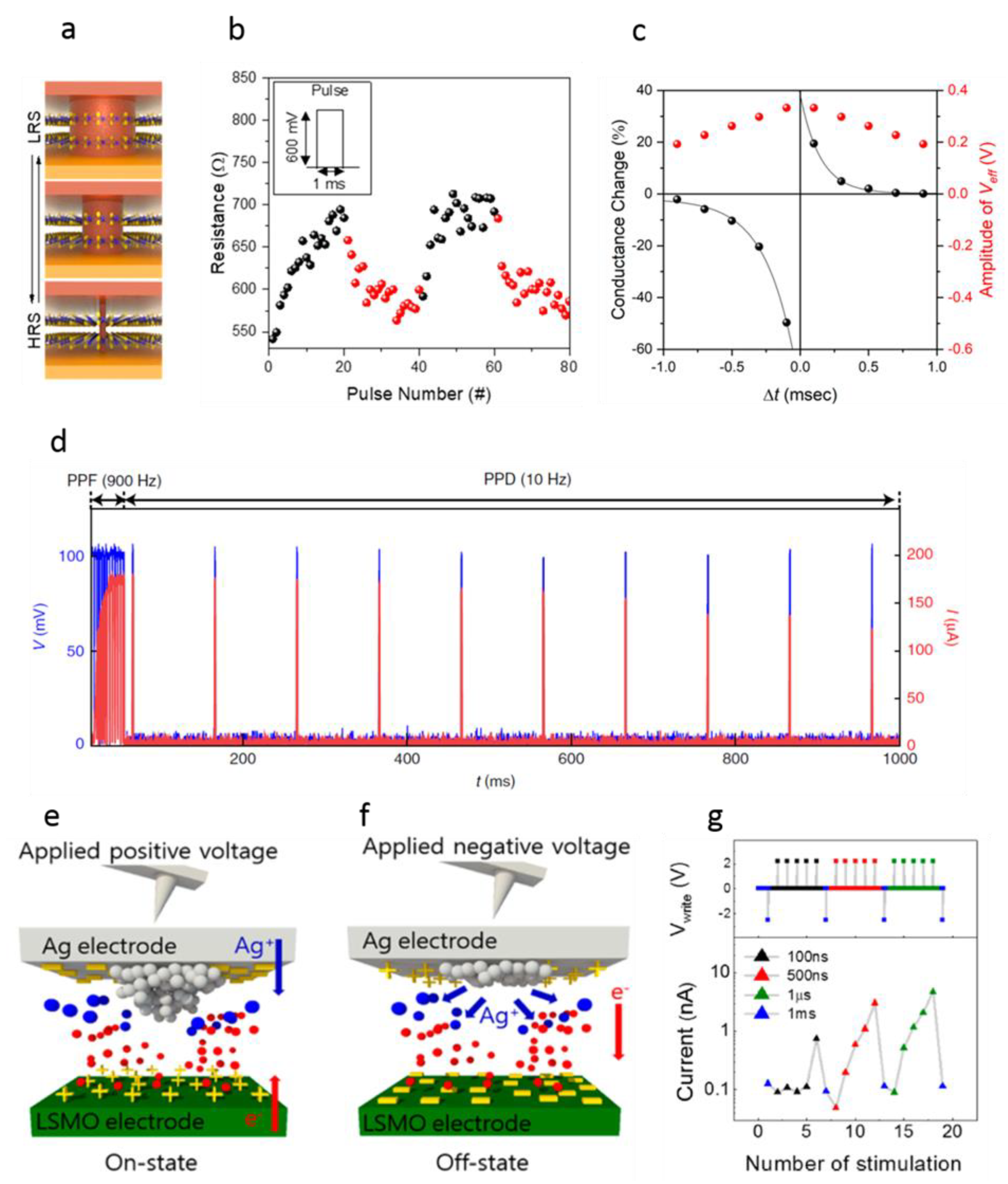 Nanomaterials 12 01728 g004