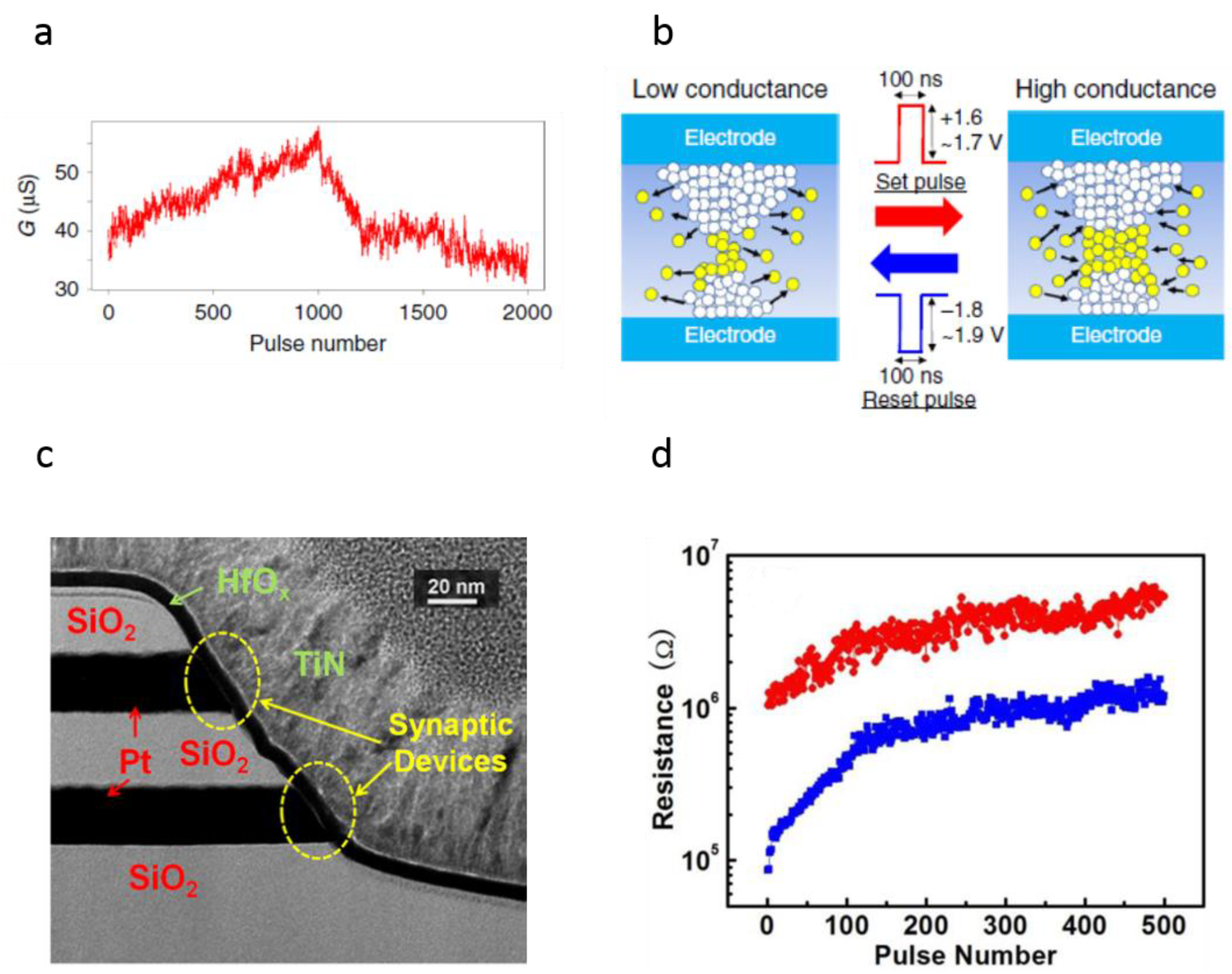 Nanomaterials 12 01728 g006