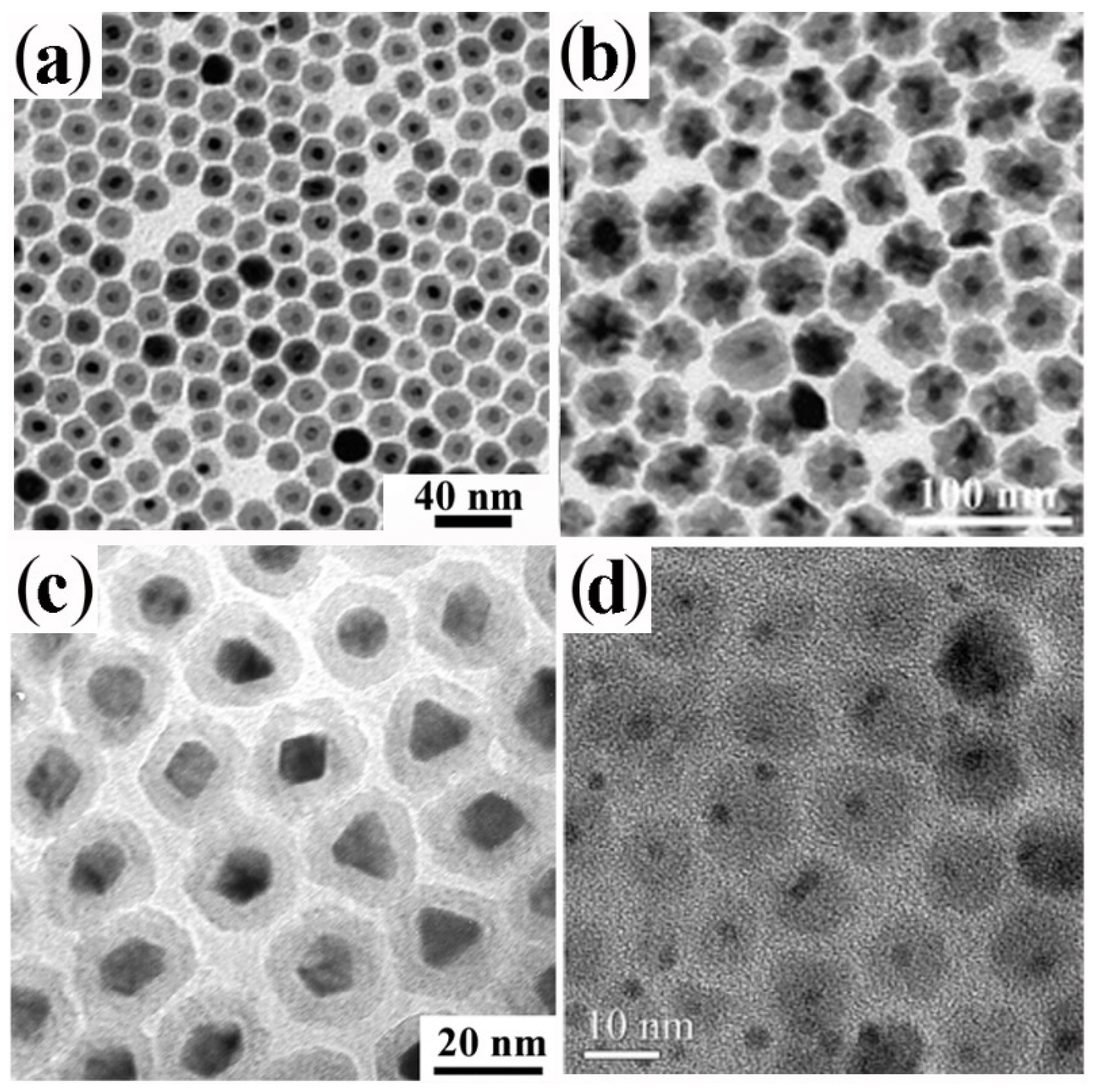 Nanomaterials 12 01729 g002 Nanomaterials 12 01729 g002