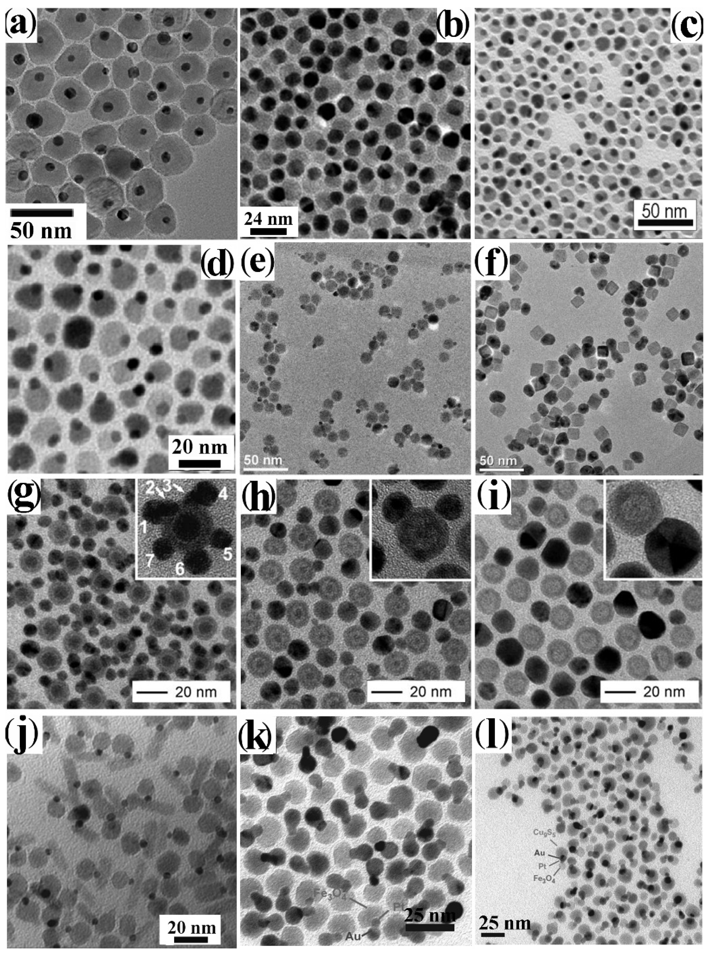 Nanomaterials 12 01729 g007 Nanomaterials 12 01729 g007