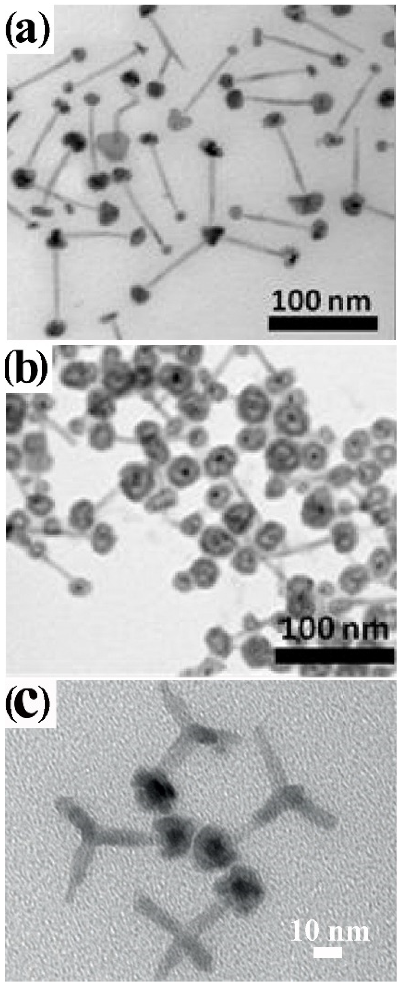 Nanomaterials 12 01729 g011 Nanomaterials 12 01729 g011
