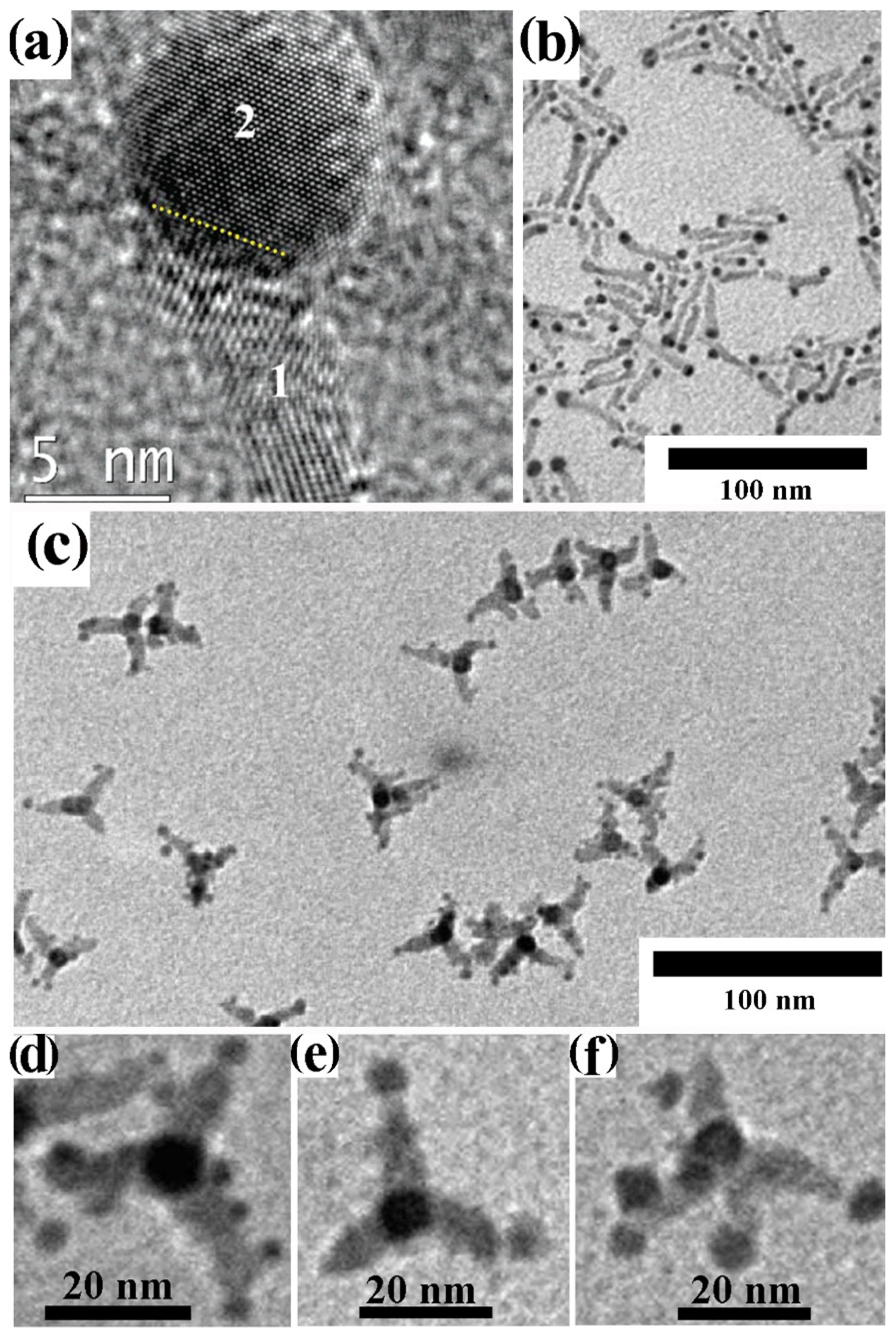 Nanomaterials 12 01729 g012 Nanomaterials 12 01729 g012