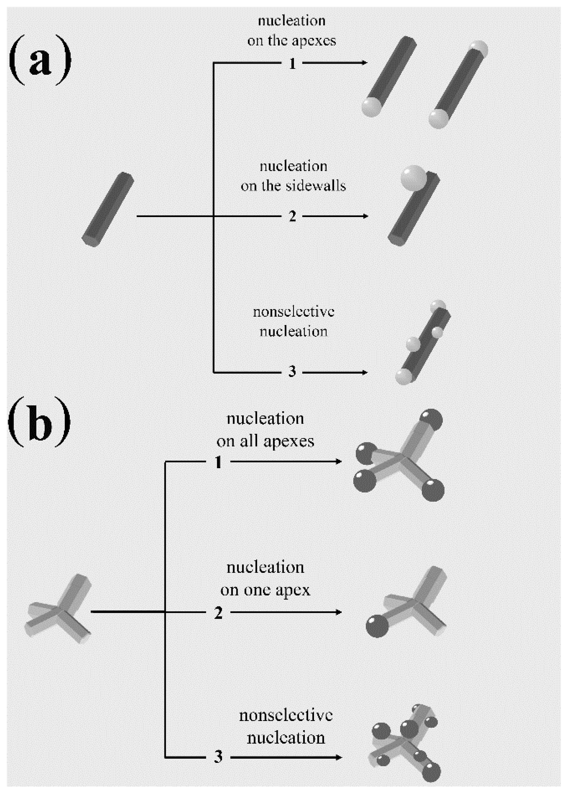 Nanomaterials 12 01729 sch004 Nanomaterials 12 01729 sch004