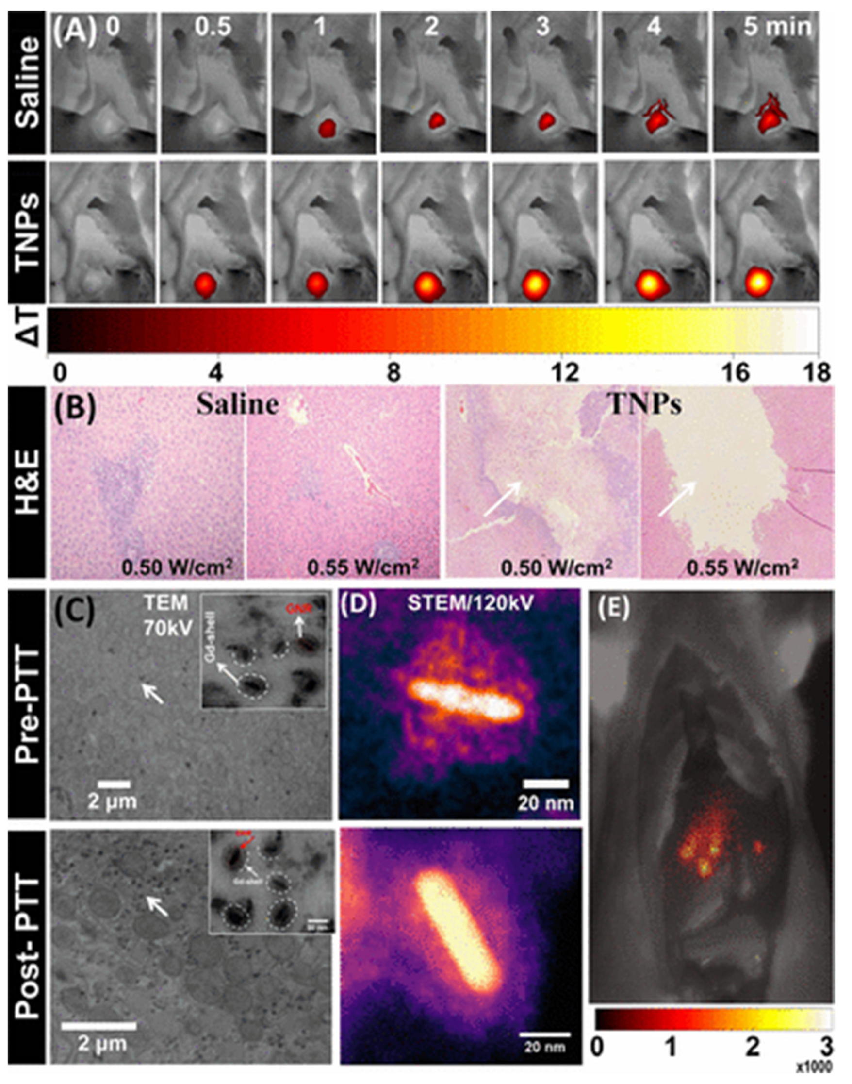 Nanomaterials 12 01738 g002