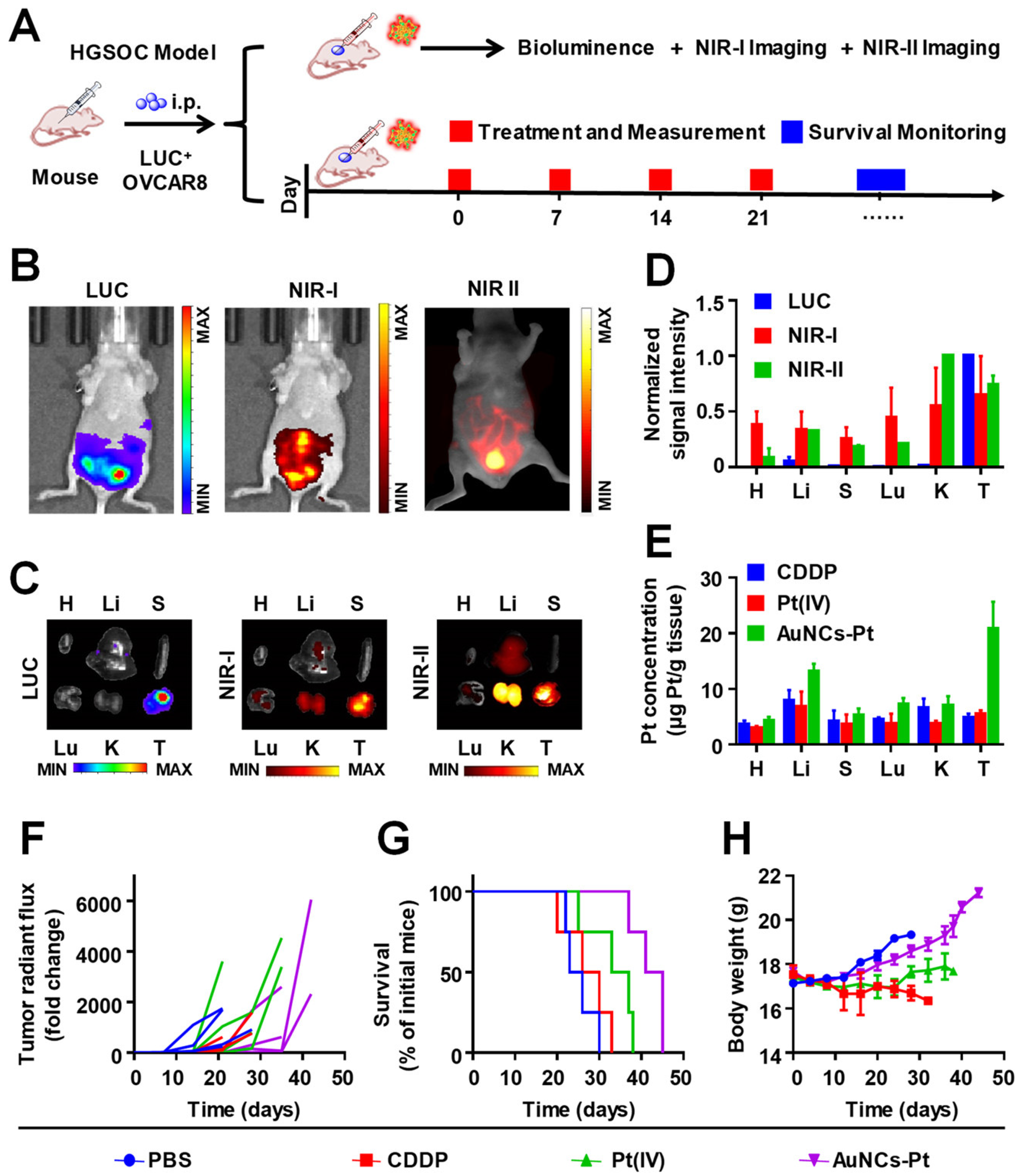 Nanomaterials 12 01738 g003