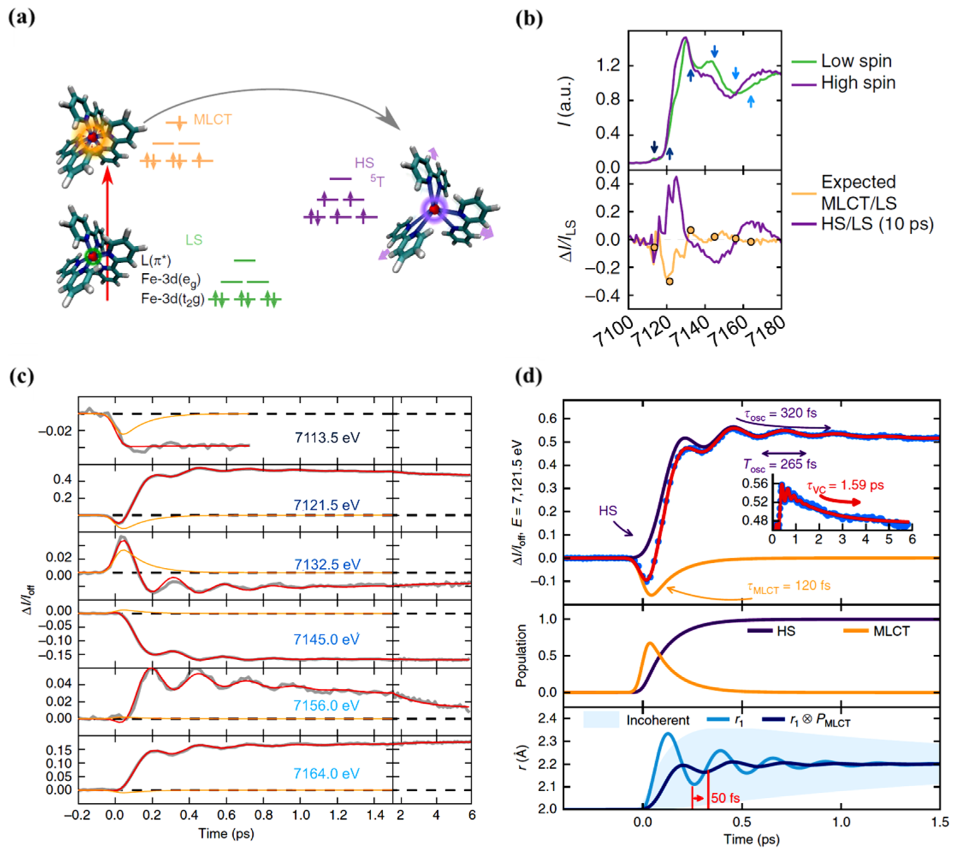Nanomaterials 12 01742 g005 550