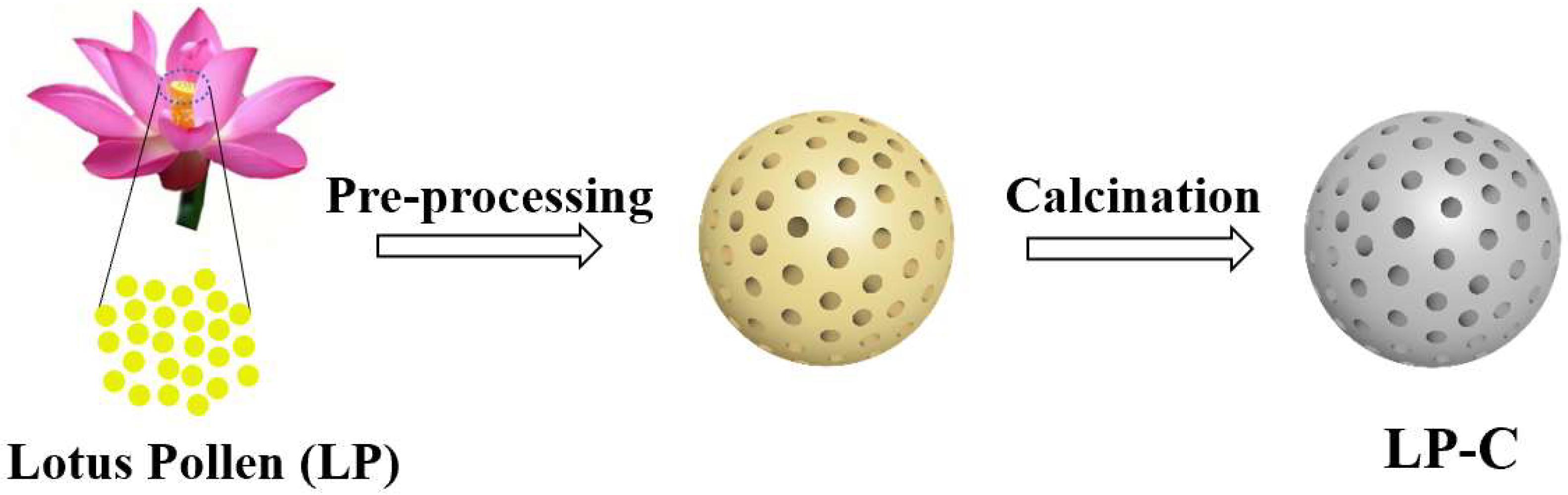 Nanomaterials 12 01744 g001 550