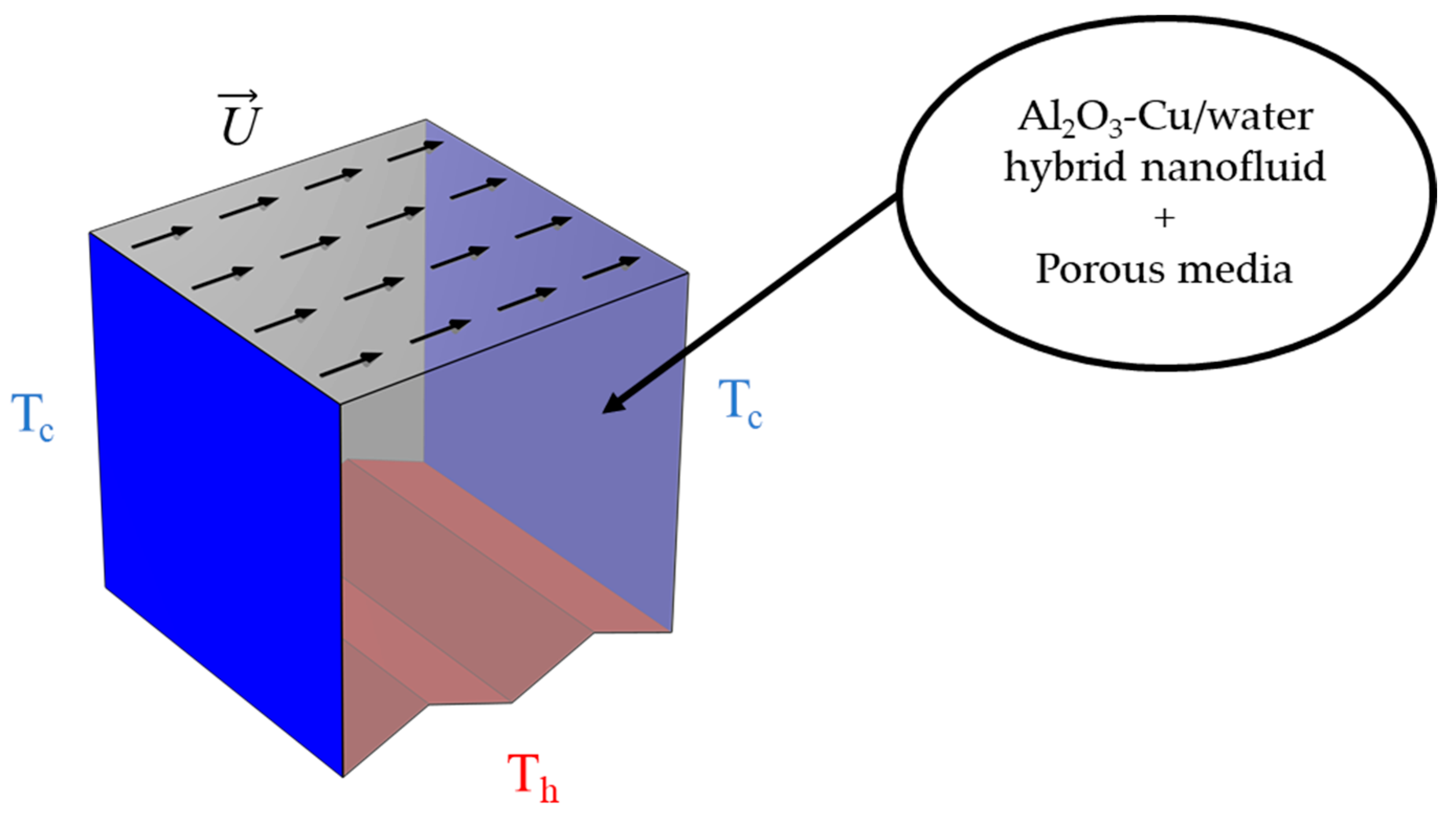 Nanomaterials 12 01747 g001